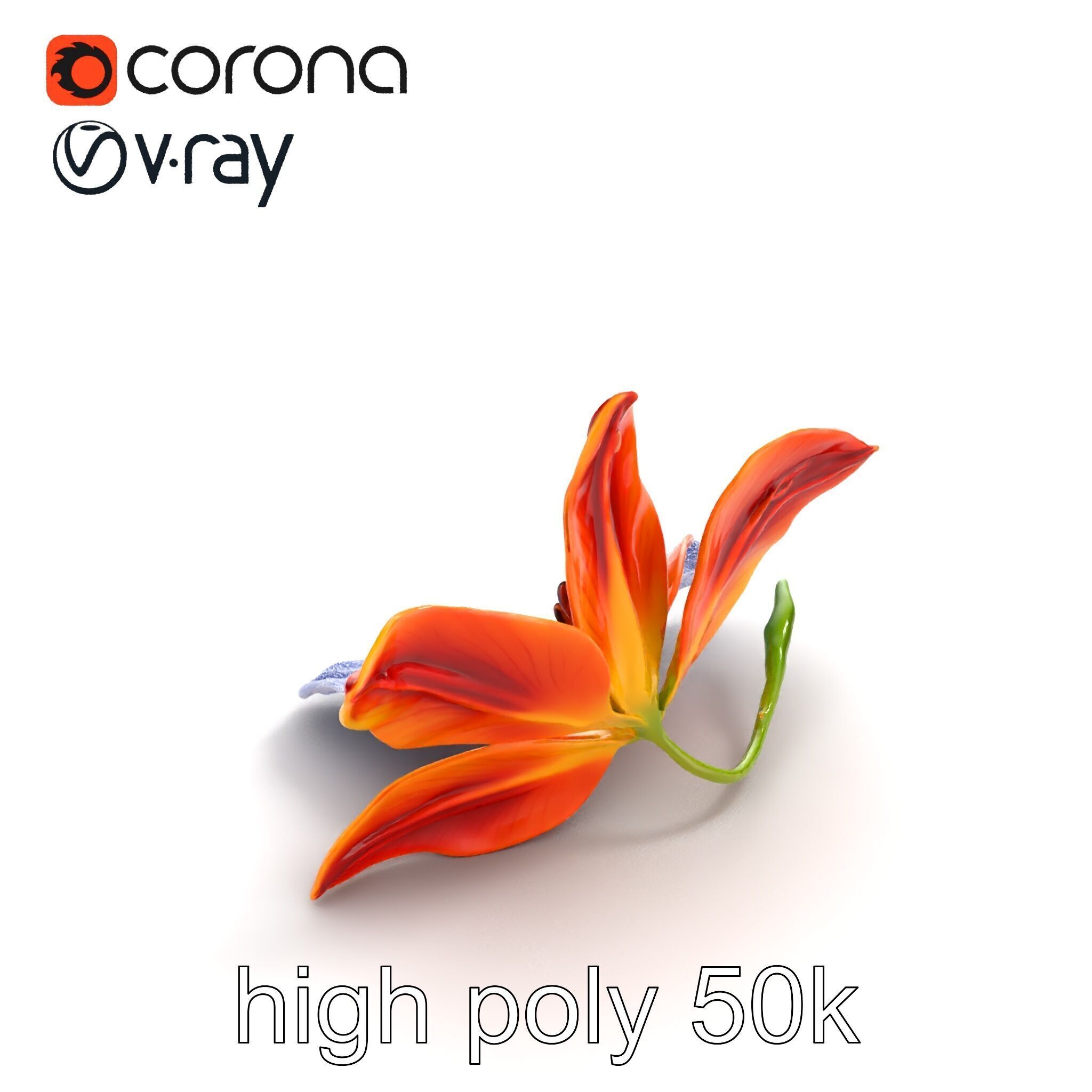 Asiatic Lily Bright Petal Texture model pack Low-poly 3D model_18