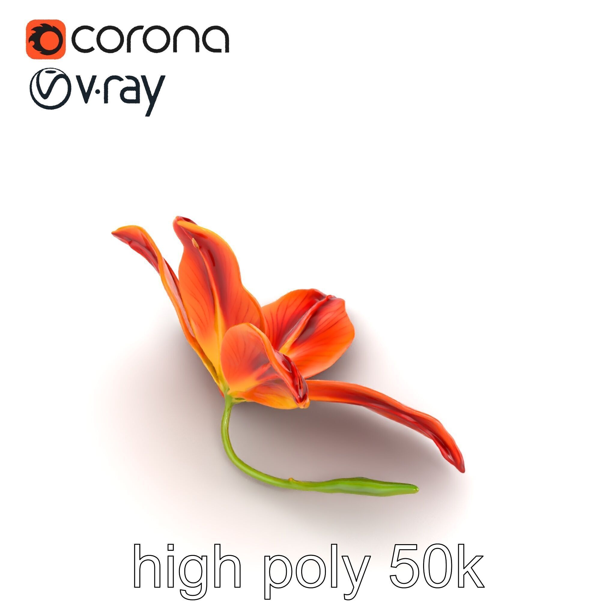 Asiatic Lily Bright Petal Texture model pack Low-poly 3D model_19