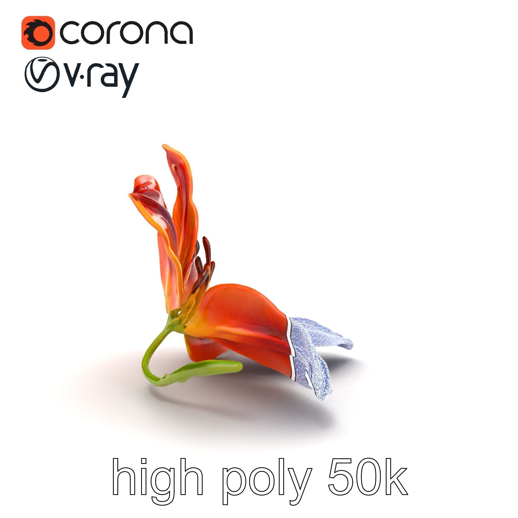 Asiatic Lily Bright Petal Texture model pack Low-poly 3D model_24