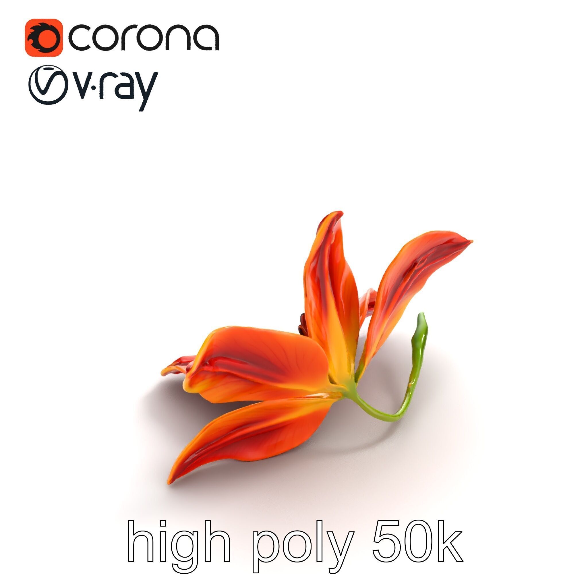 Asiatic Lily Bright Petal Texture model pack Low-poly 3D model_9