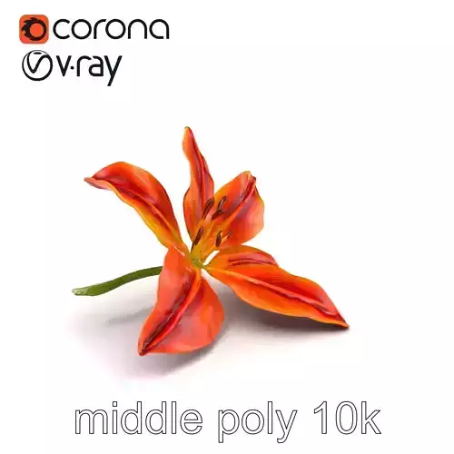 Asiatic Lily Bright Petal Texture model pack Low-poly 3D model Asiatic Lily Bright Petal Texture model pack Low-poly 3D model