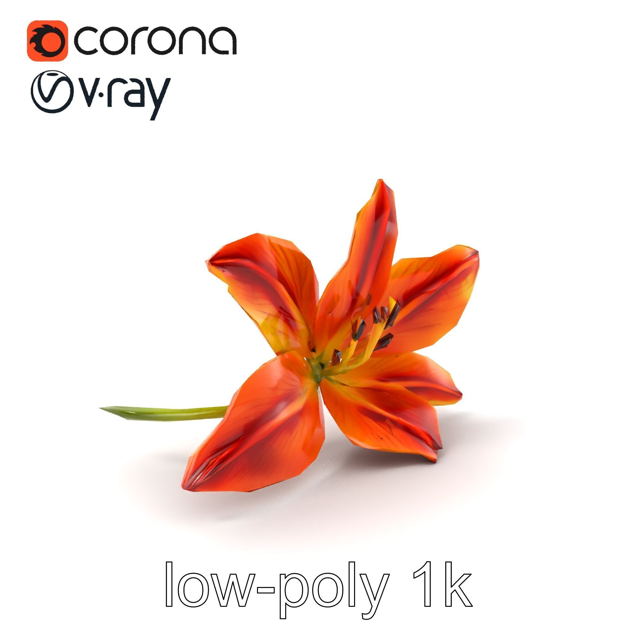 Asiatic Lily Bright Petal Texture model pack Low-poly 3D model_4