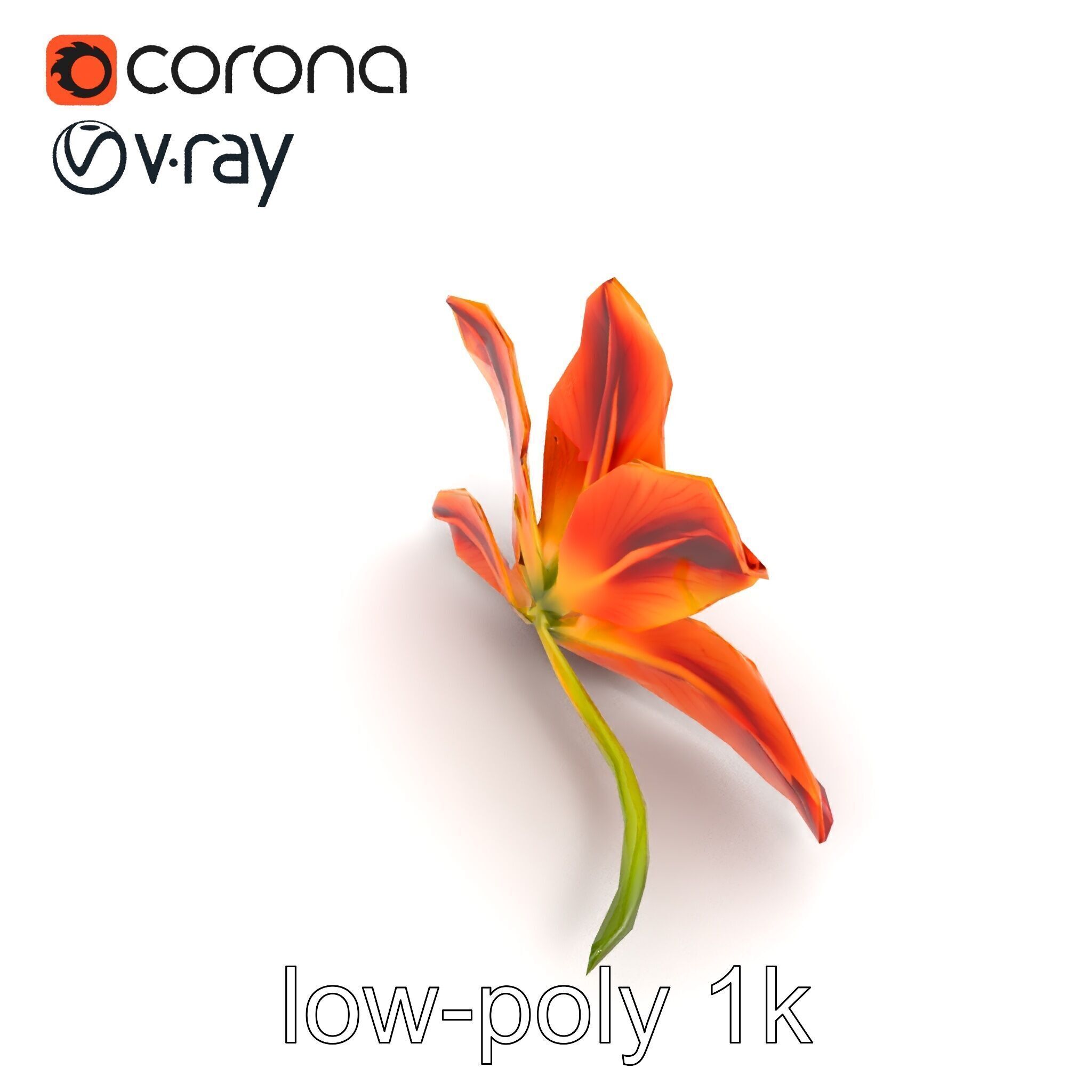 Asiatic Lily Bright Petal Texture model pack Low-poly 3D model_15