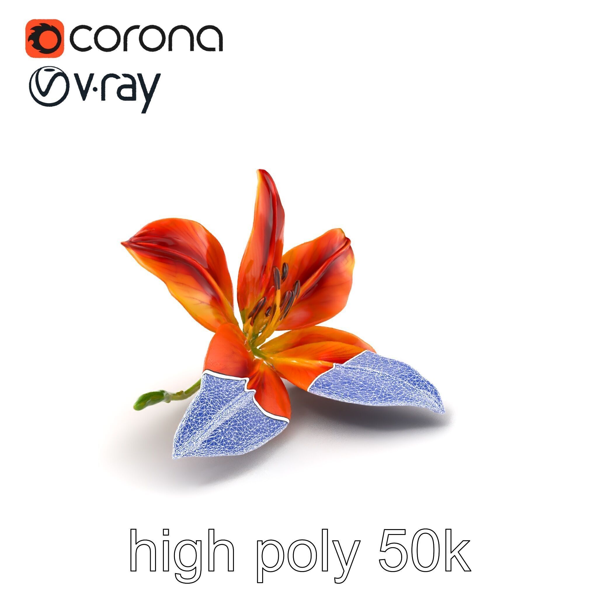 Asiatic Lily Bright Petal Texture model pack Low-poly 3D model_1