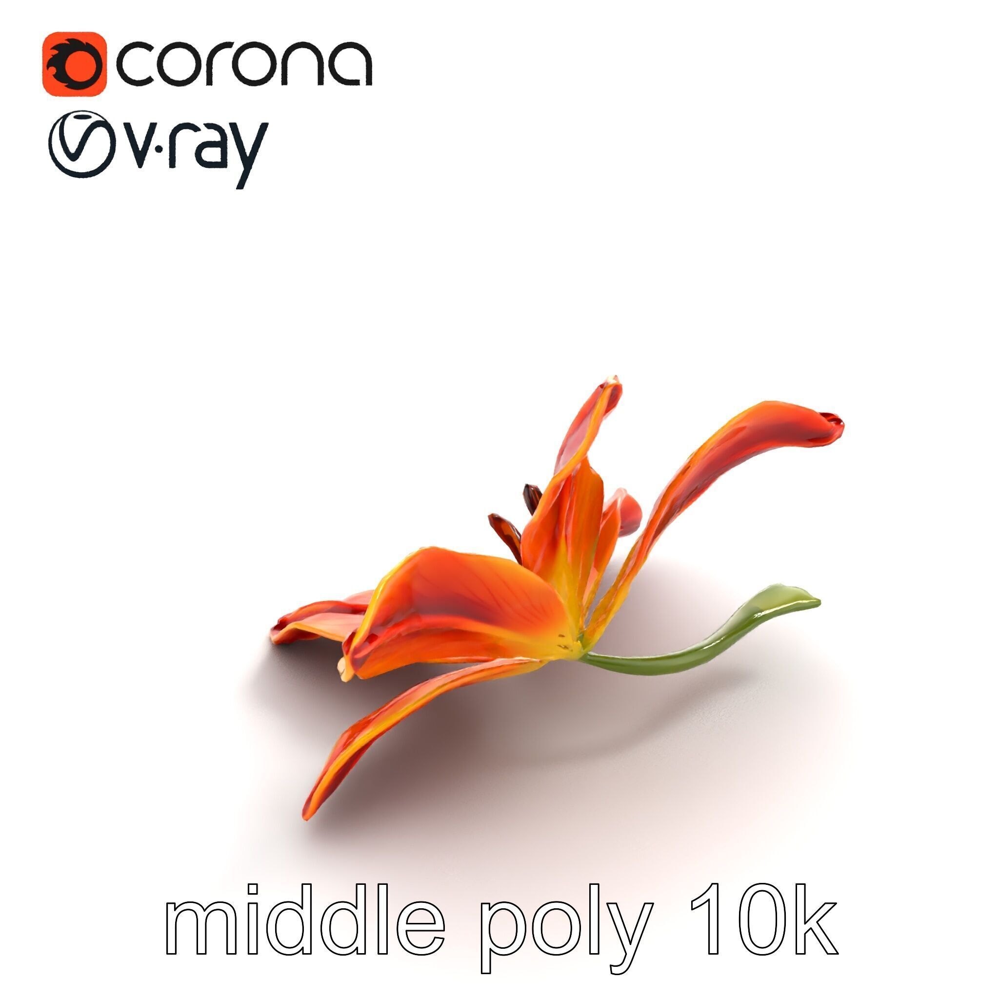 Asiatic Lily Bright Petal Texture model pack Low-poly 3D model_7