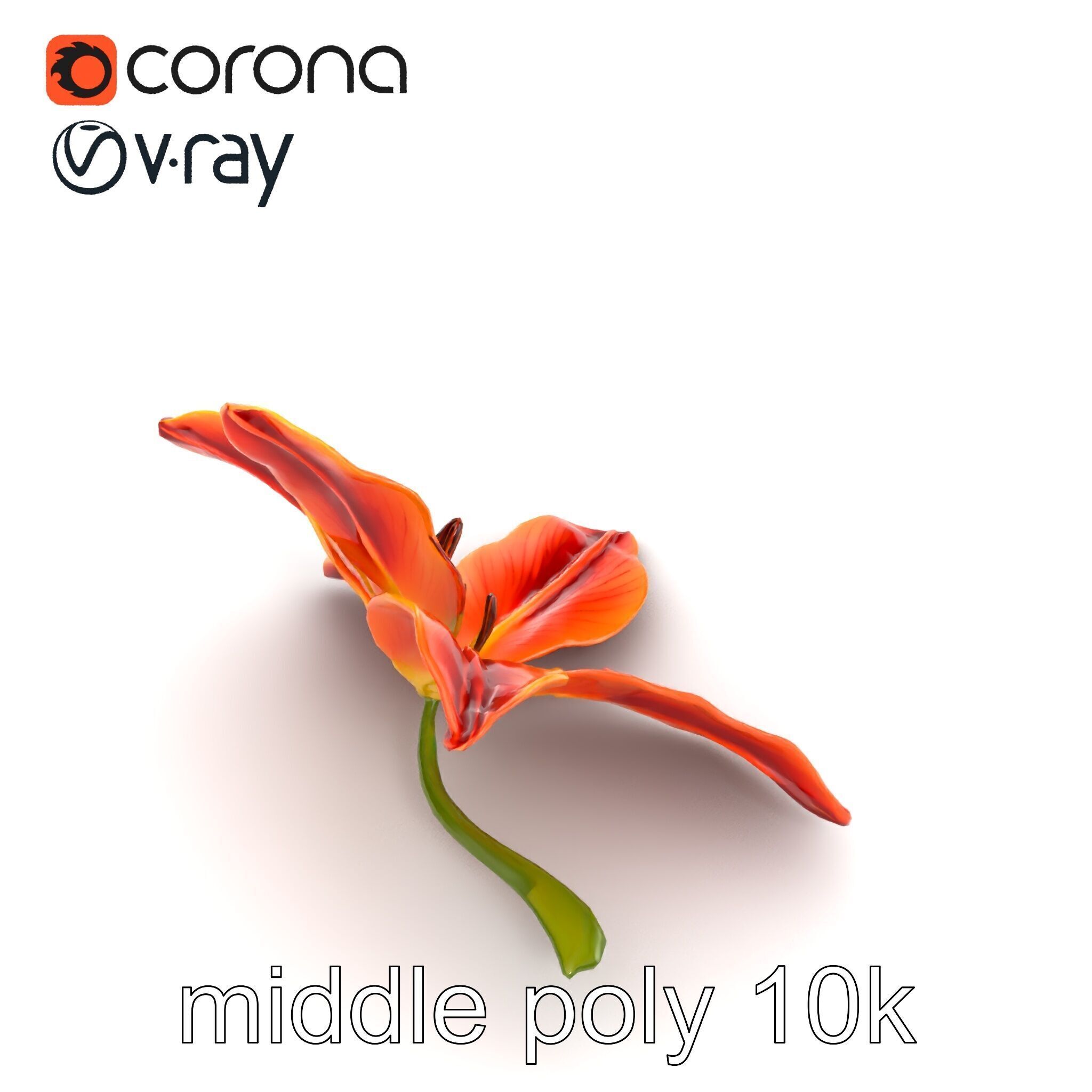 Asiatic Lily Bright Petal Texture model pack Low-poly 3D model_21
