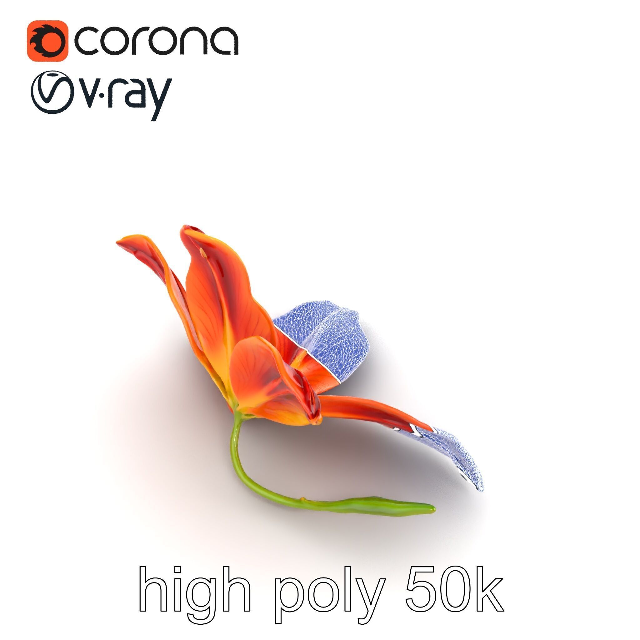 Asiatic Lily Bright Petal Texture model pack Low-poly 3D model_27