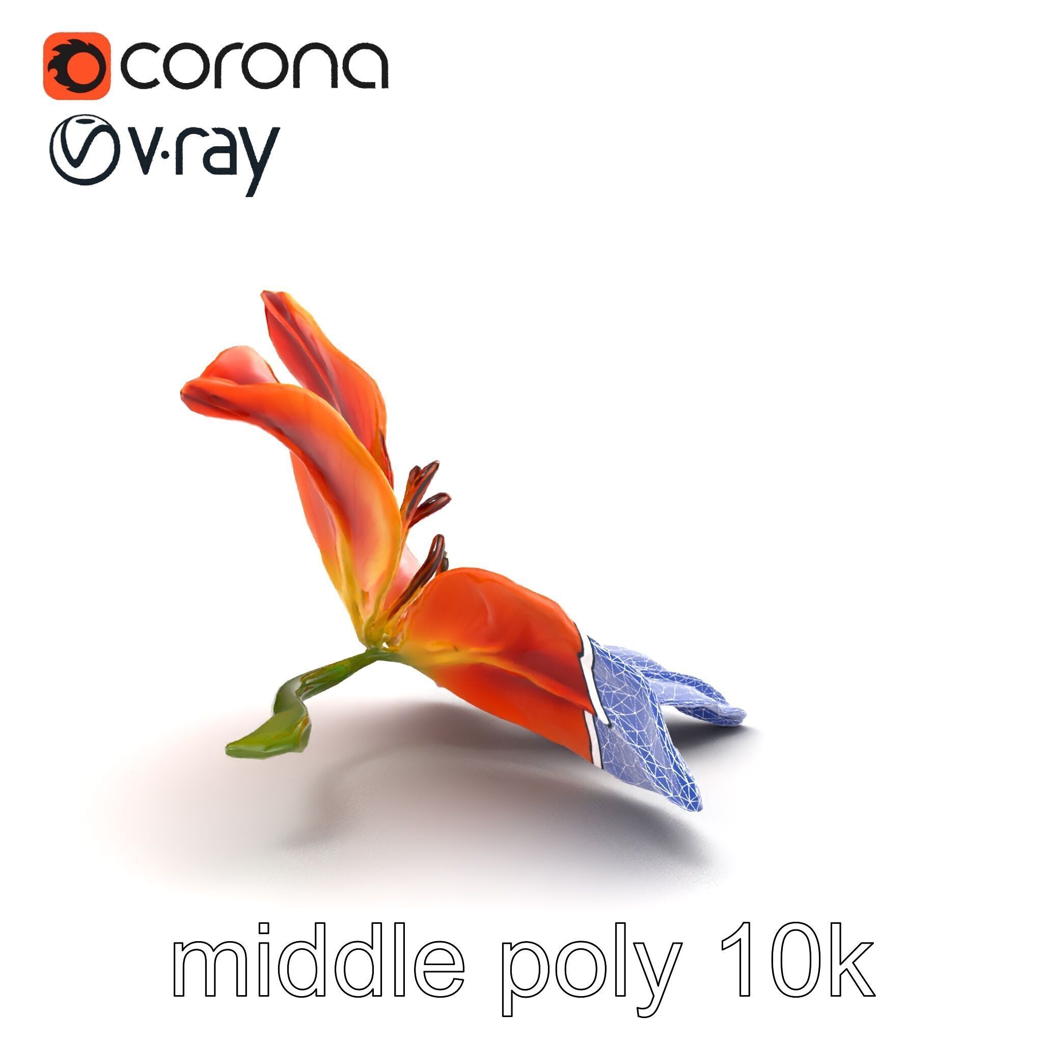 Asiatic Lily Bright Petal Texture model pack Low-poly 3D model_22