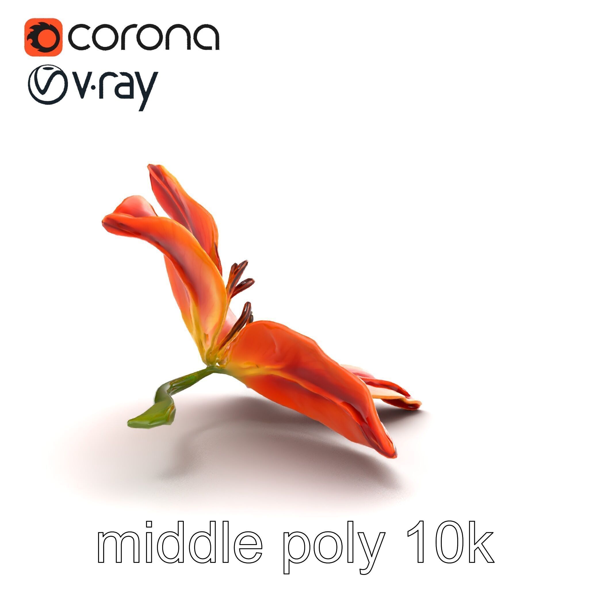 Asiatic Lily Bright Petal Texture model pack Low-poly 3D model_17