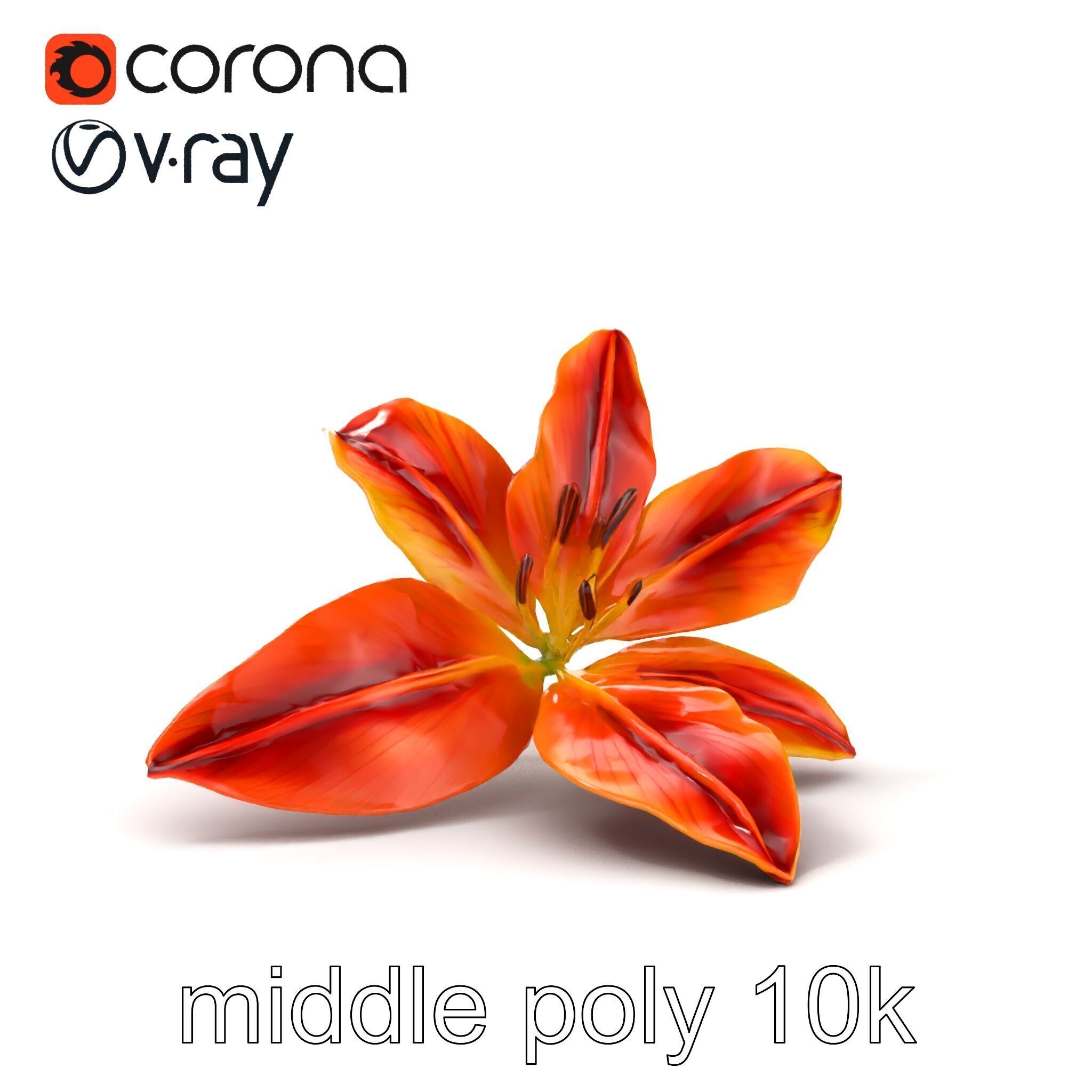 Asiatic Lily Bright Petal Texture model pack Low-poly 3D model_20