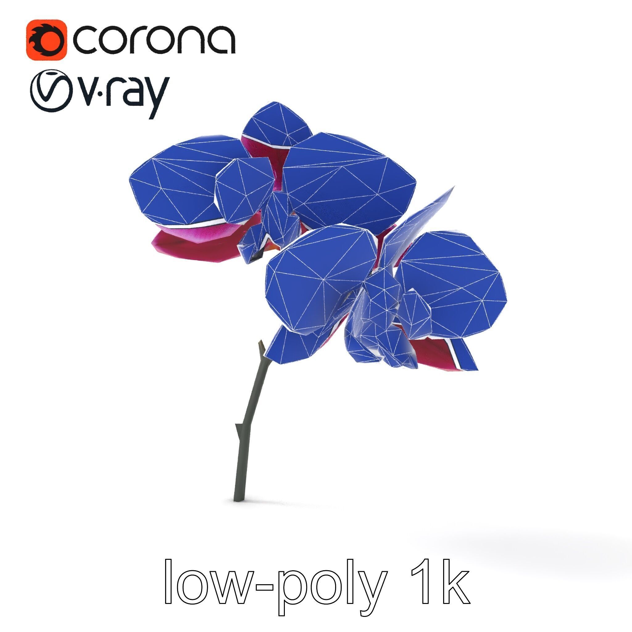 Elegant Cymbidium Orchid Flowers 3D Model Pack Low-poly 3D model_30