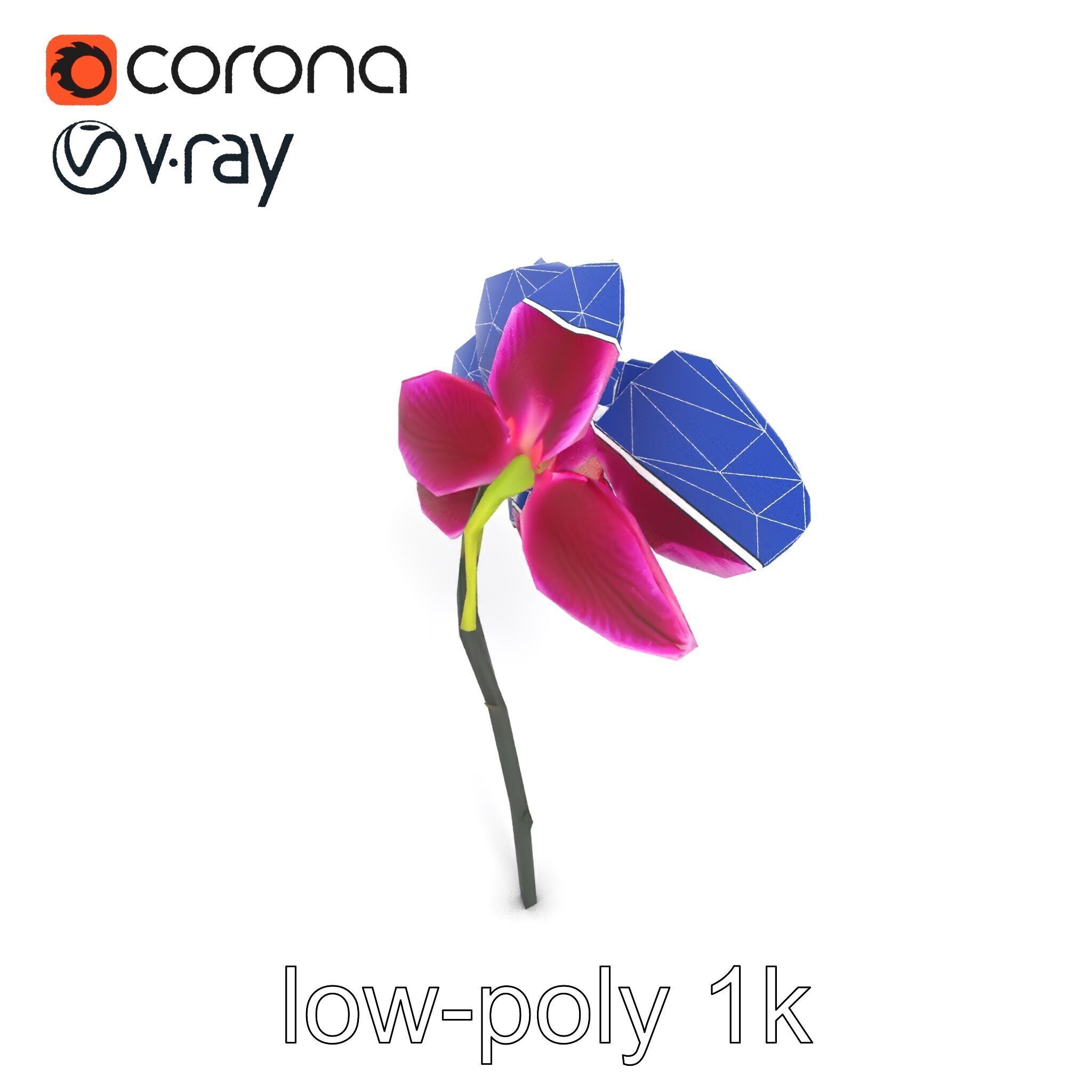 Elegant Cymbidium Orchid Flowers 3D Model Pack Low-poly 3D model_16