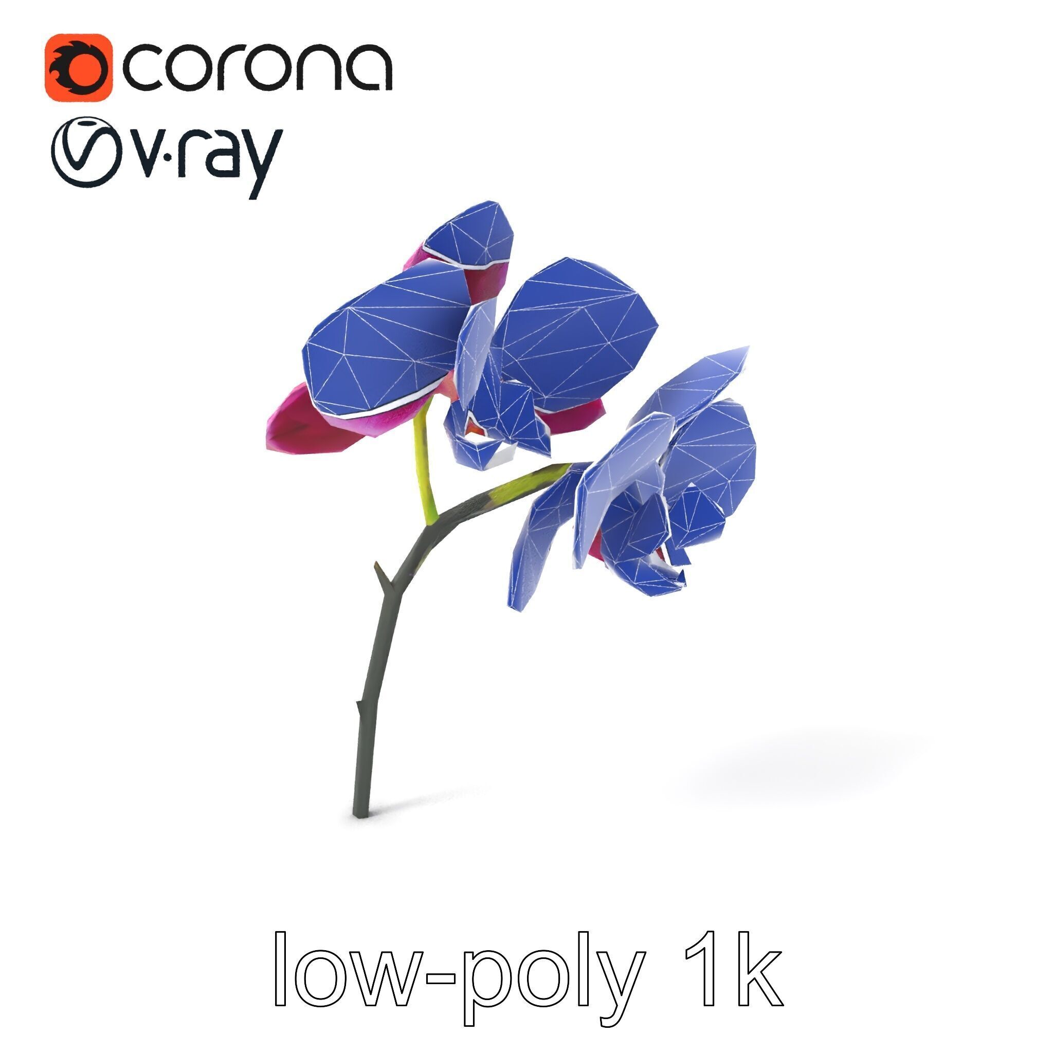 Elegant Cymbidium Orchid Flowers 3D Model Pack Low-poly 3D model_6