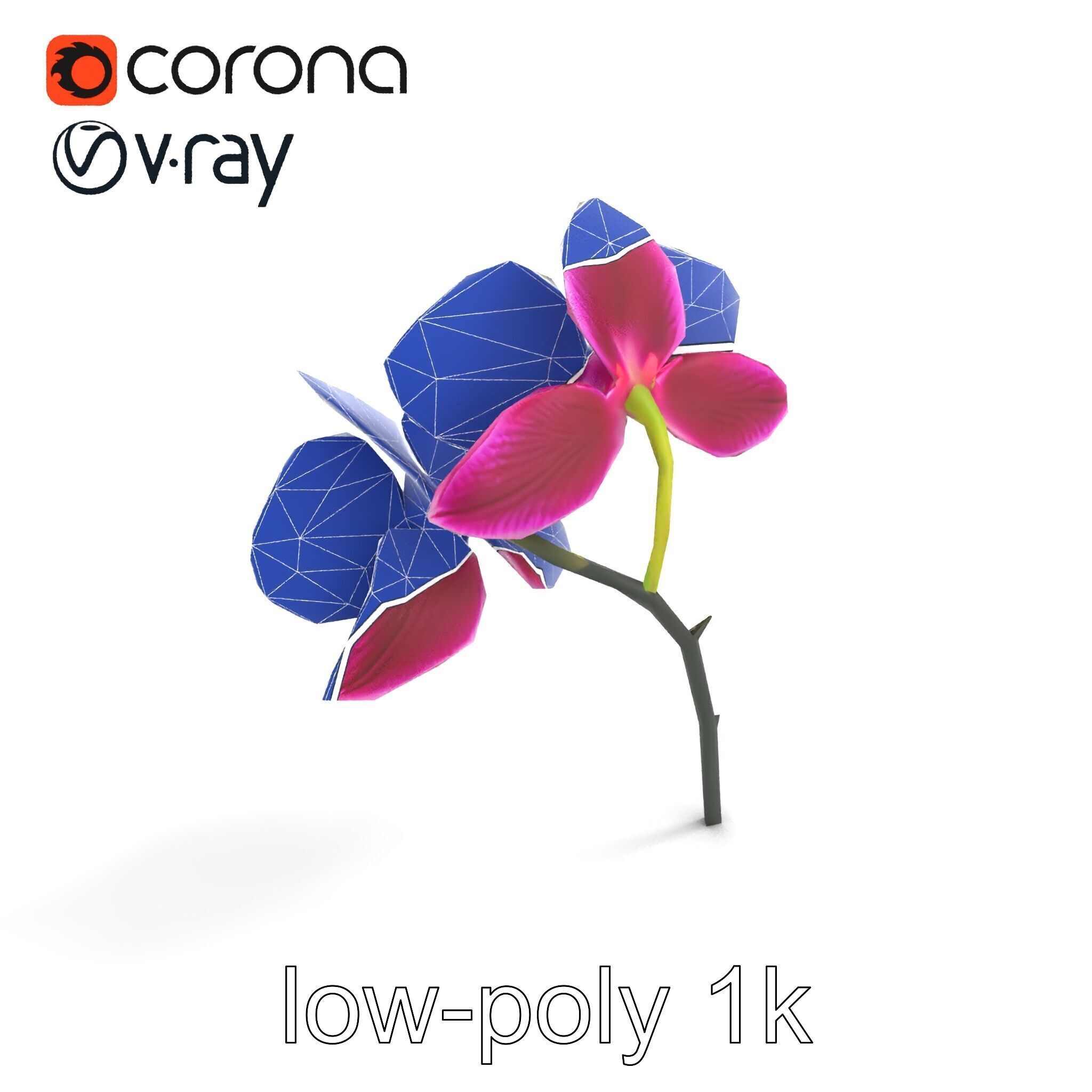 Elegant Cymbidium Orchid Flowers 3D Model Pack Low-poly 3D model_14