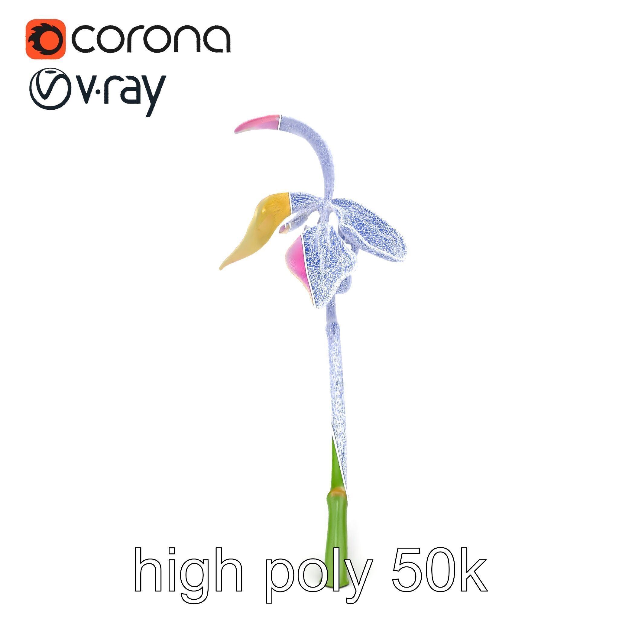 Paphiopedilum Orchid Intriguing Form model pack Low-poly 3D model_22