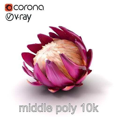 Rich Purple Protea Flower Model Pack Low-poly 3D model