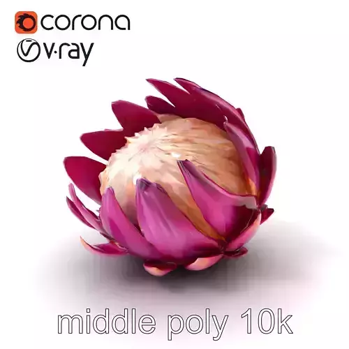 Rich Purple Protea Flower Model Pack Low-poly 3D model