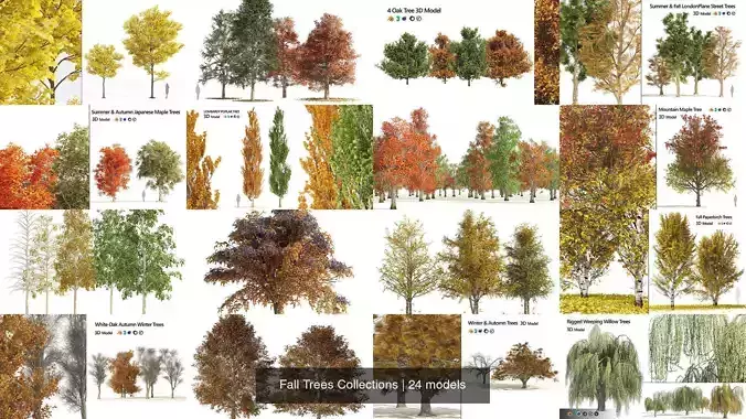 Fall Trees Collections 