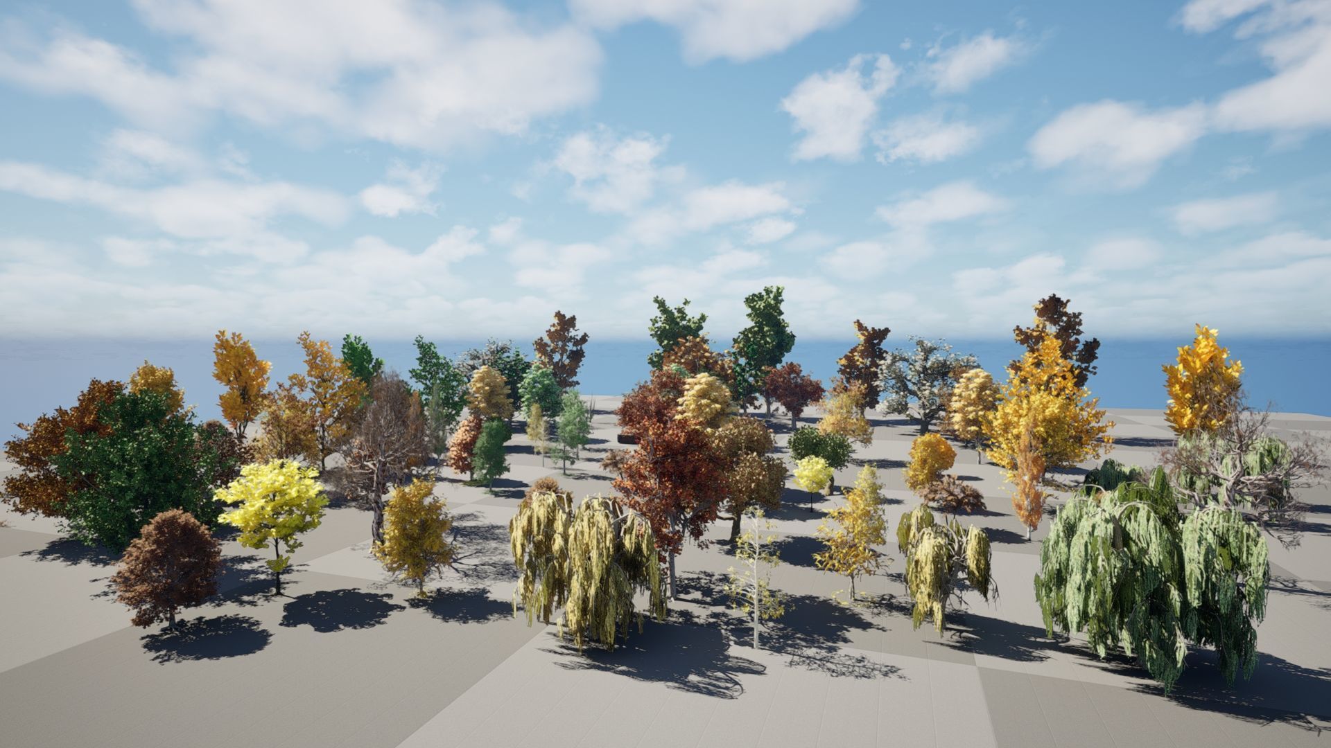 Fall Trees Collections _14