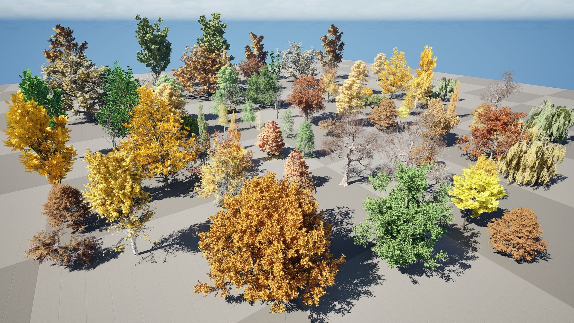 Fall Trees Collections _12