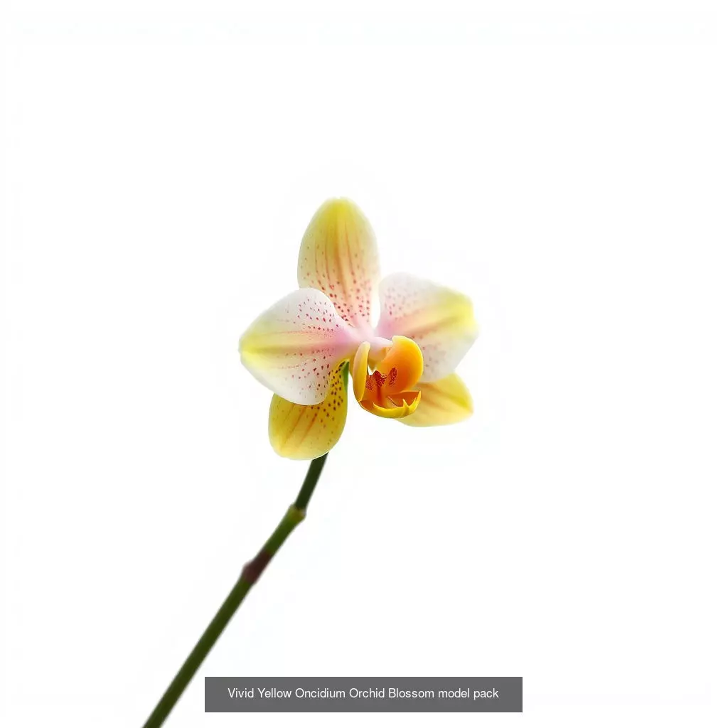 Orchid Elegance Collection _0