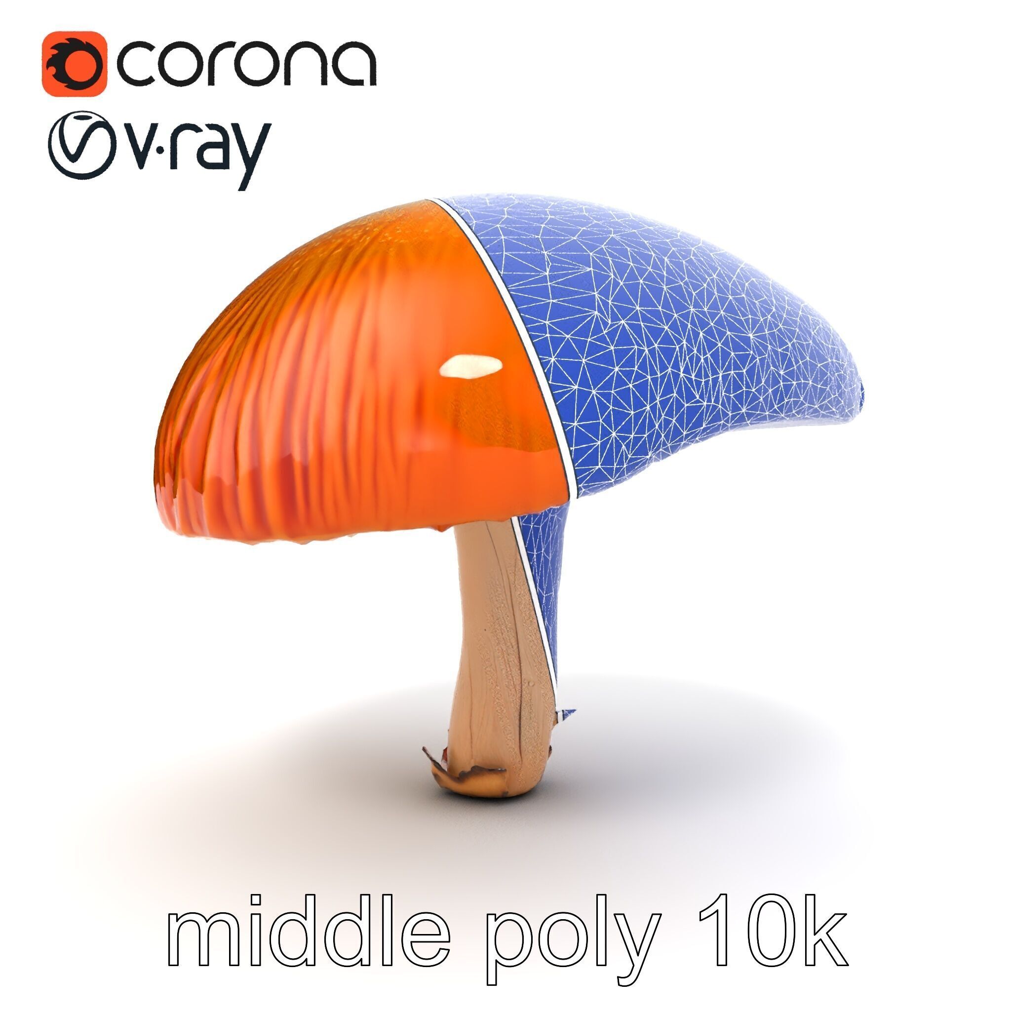 Winter Velvet Shank Mushroom model pack Low-poly 3D model_23