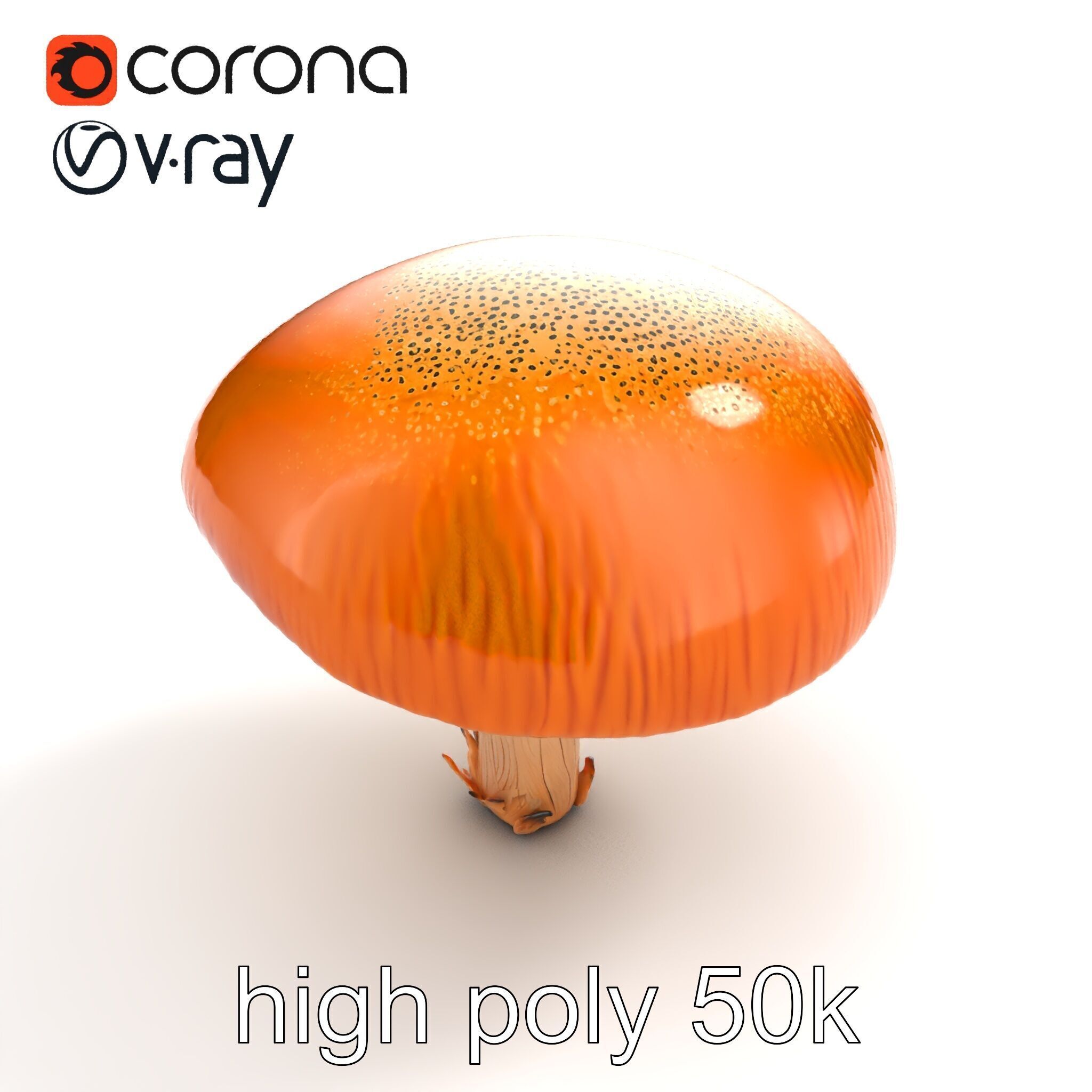 Winter Velvet Shank Mushroom model pack Low-poly 3D model_18