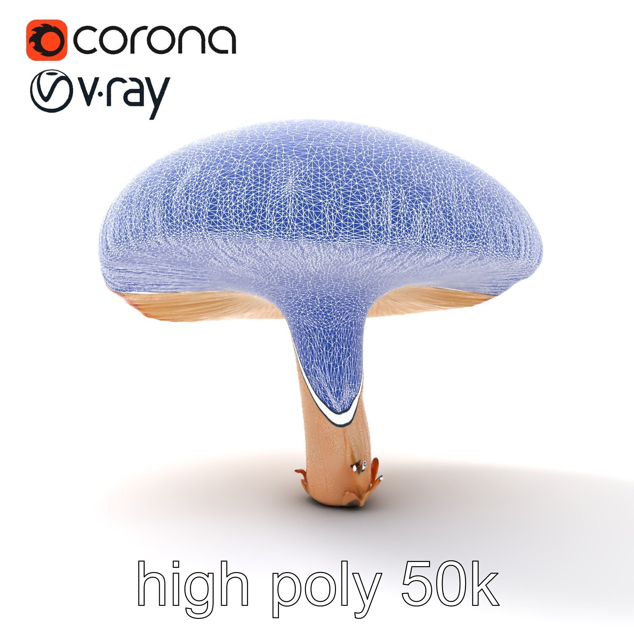 Winter Velvet Shank Mushroom model pack Low-poly 3D model_30