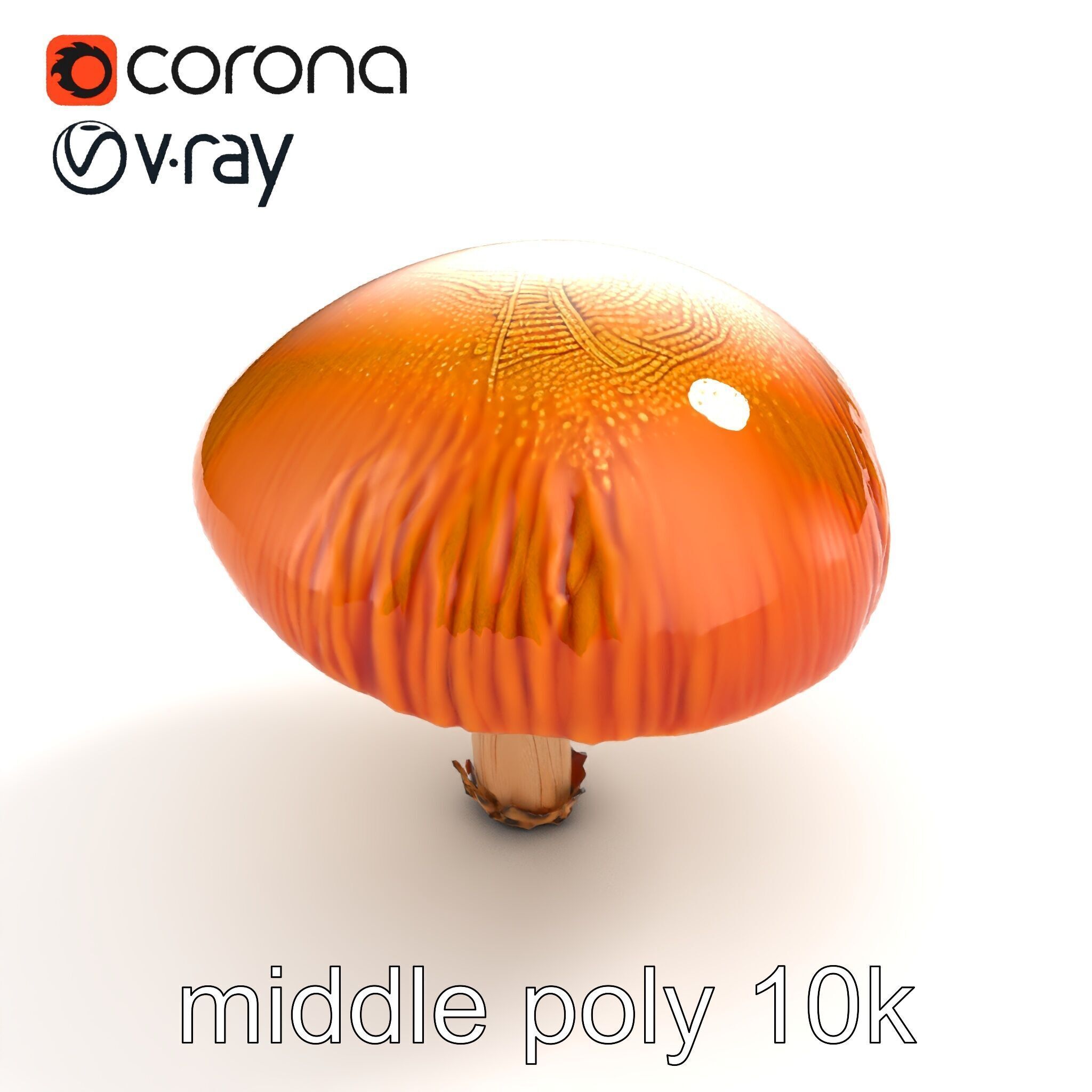 Winter Velvet Shank Mushroom model pack Low-poly 3D model_8