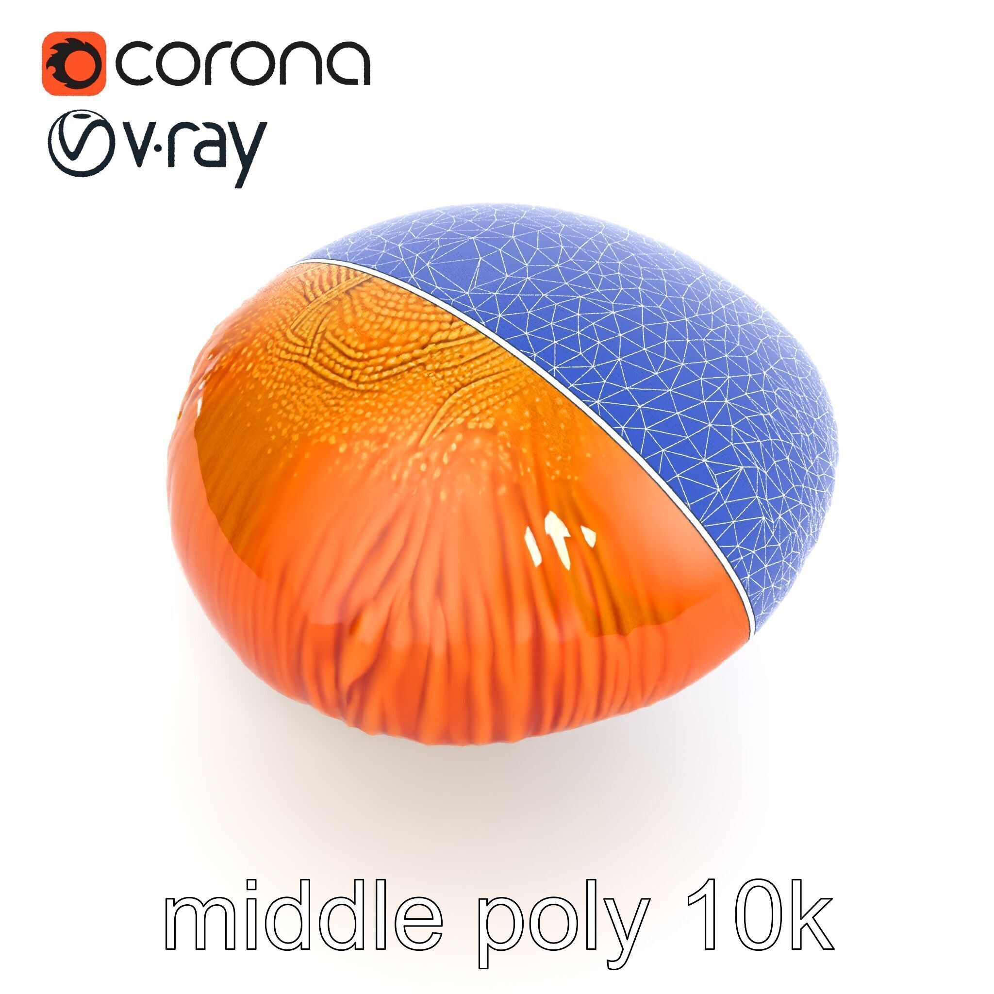 Winter Velvet Shank Mushroom model pack Low-poly 3D model_28