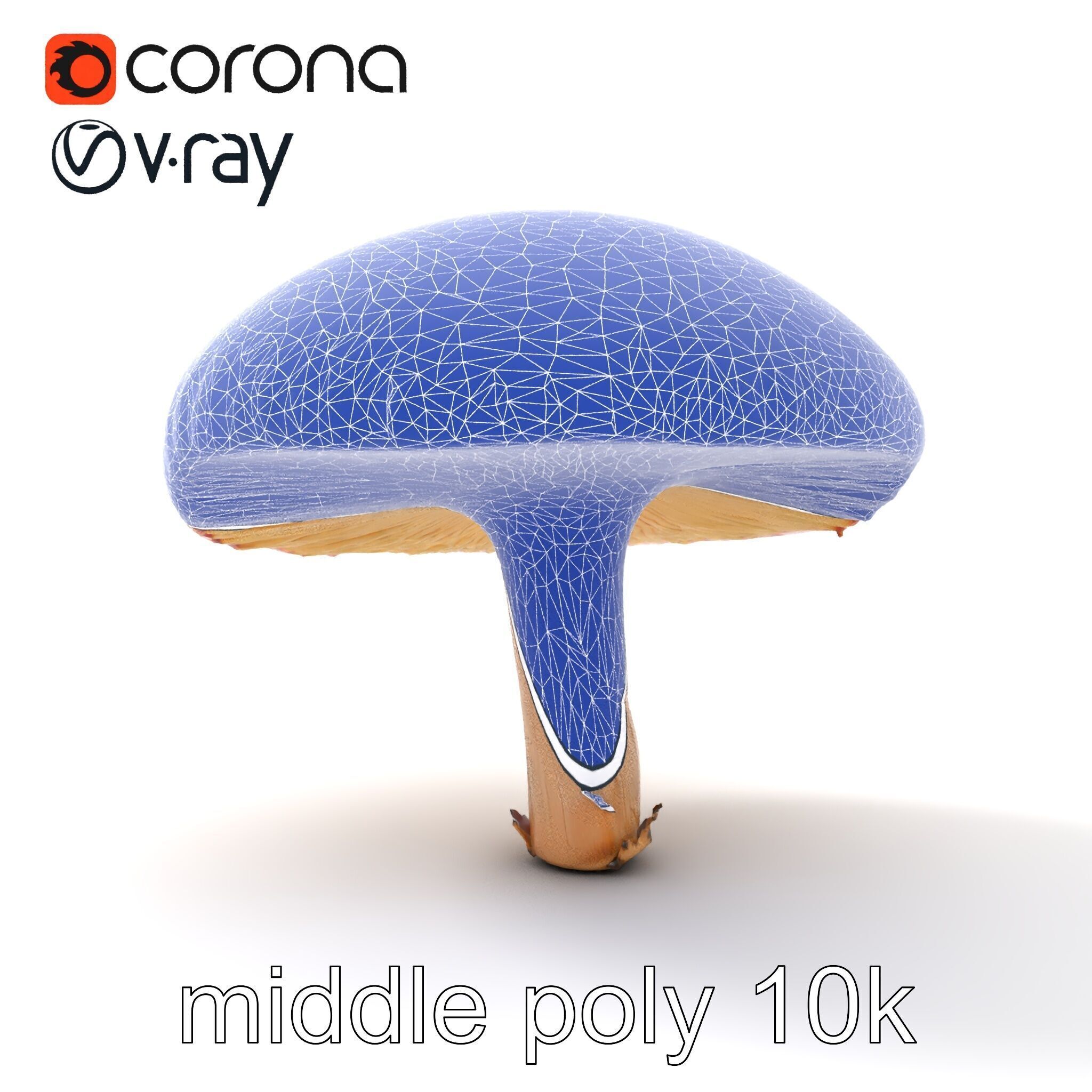 Winter Velvet Shank Mushroom model pack Low-poly 3D model_32