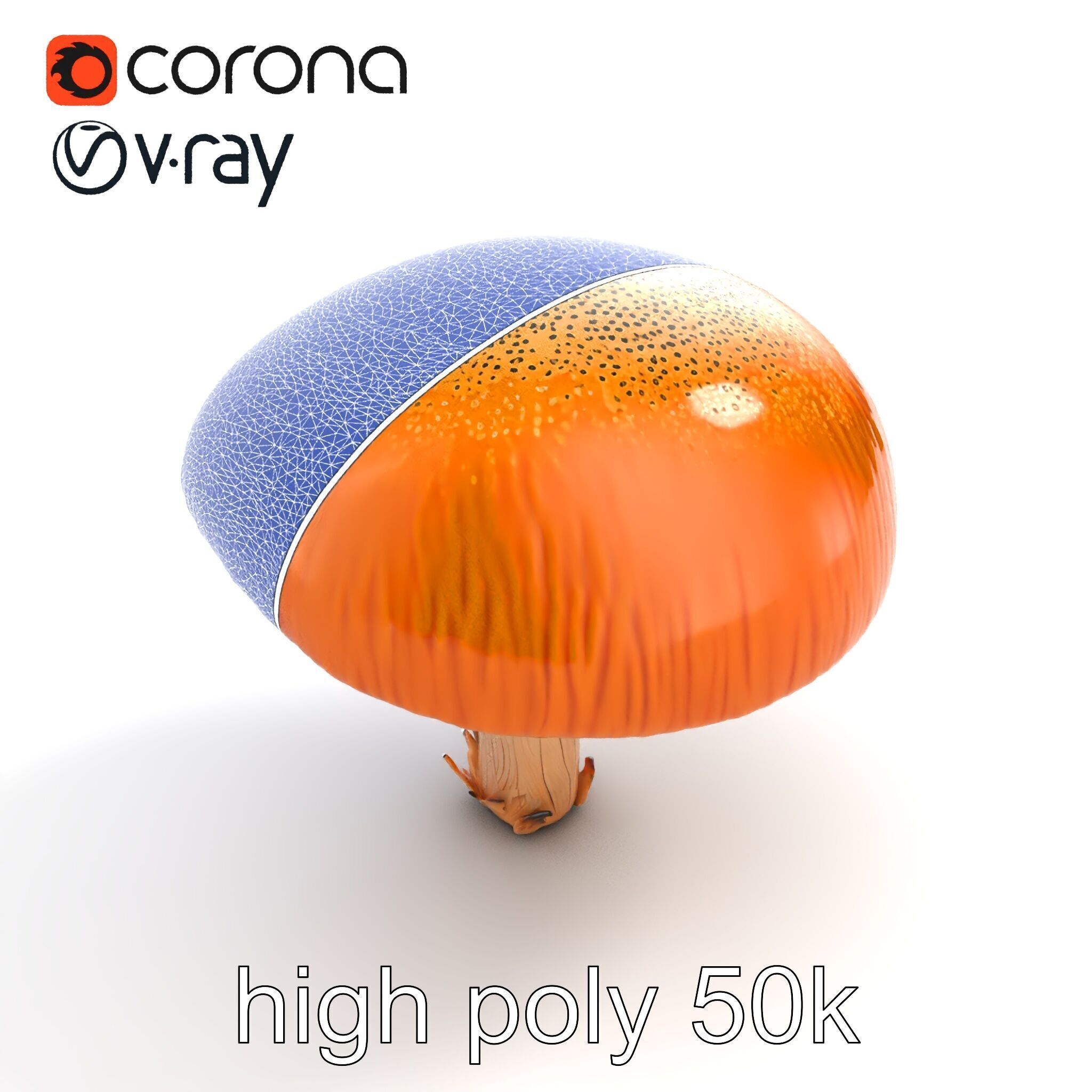 Winter Velvet Shank Mushroom model pack Low-poly 3D model_29
