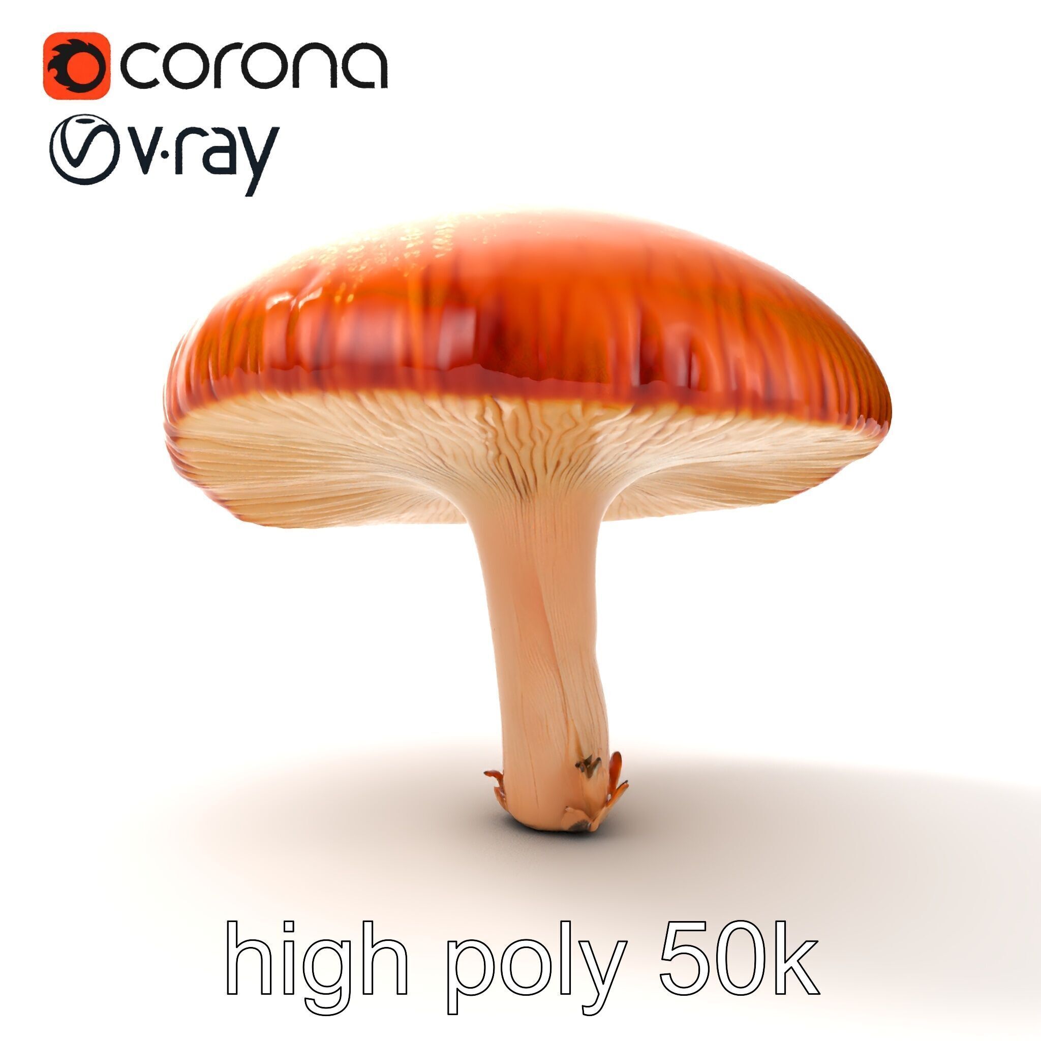 Winter Velvet Shank Mushroom model pack Low-poly 3D model_19