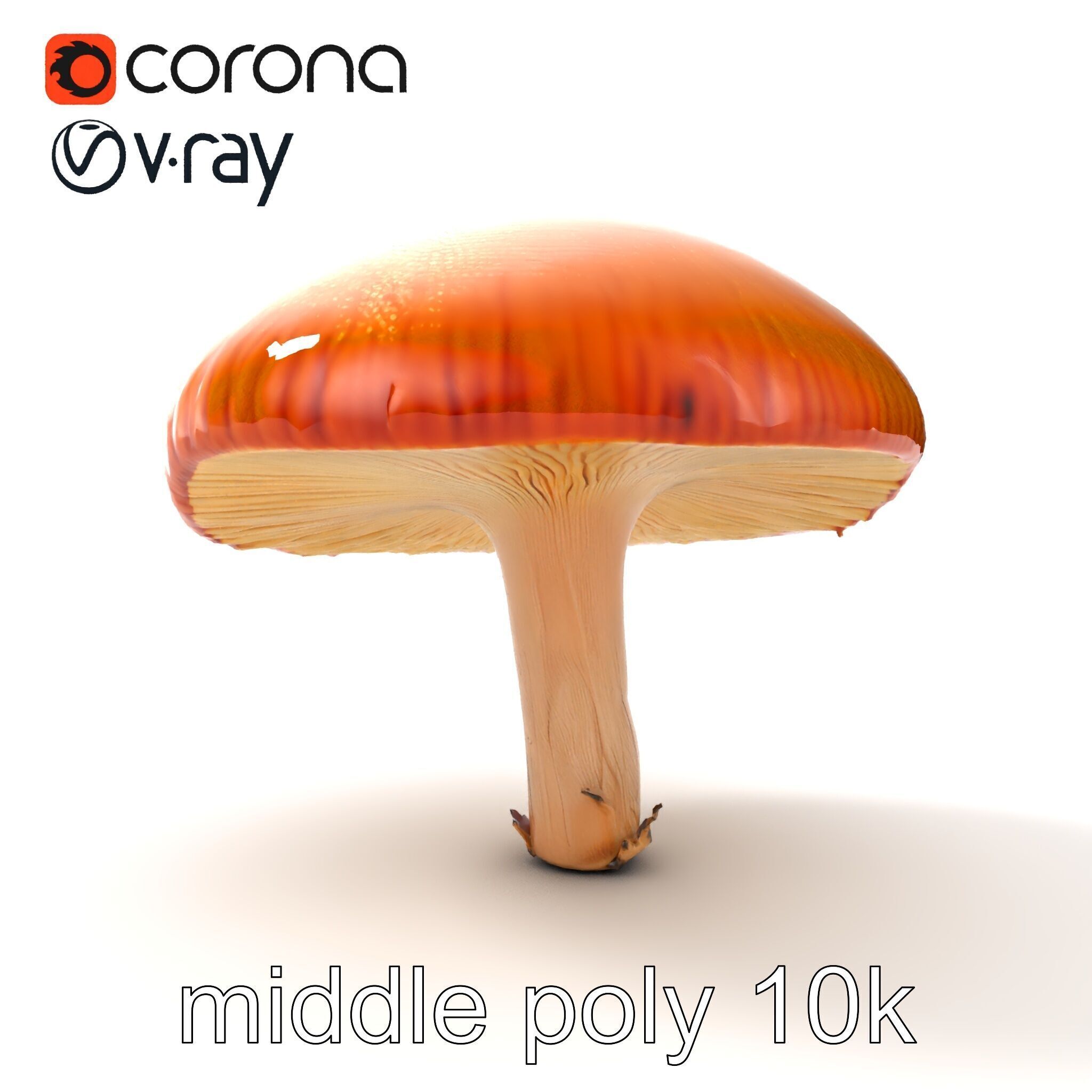 Winter Velvet Shank Mushroom model pack Low-poly 3D model_13