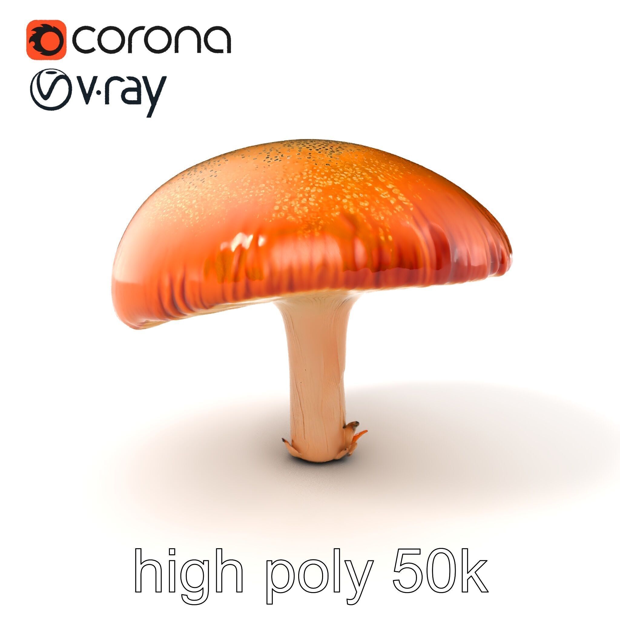 Winter Velvet Shank Mushroom model pack Low-poly 3D model_2