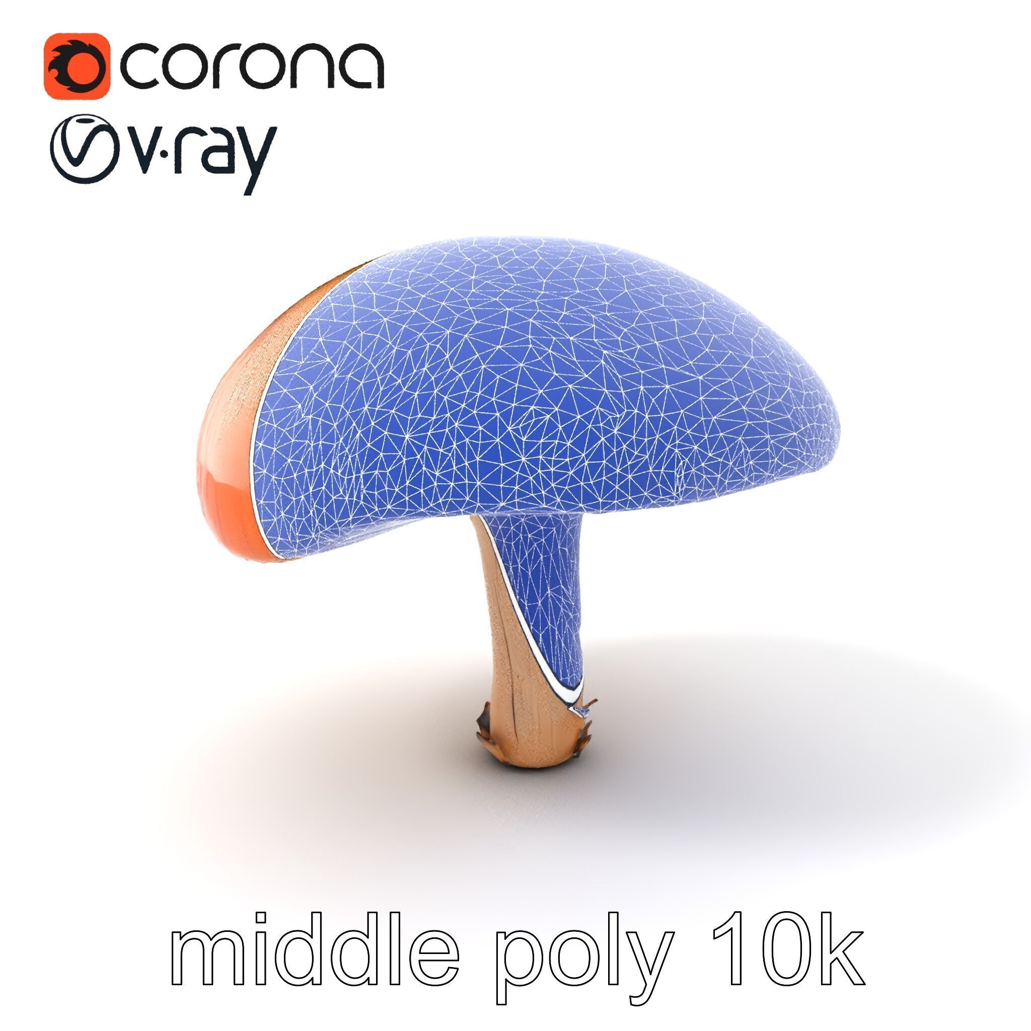 Winter Velvet Shank Mushroom model pack Low-poly 3D model_6