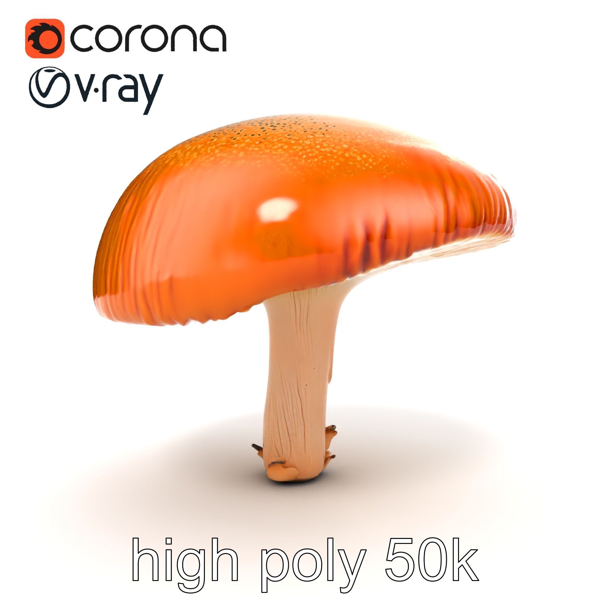 Winter Velvet Shank Mushroom model pack Low-poly 3D model_12