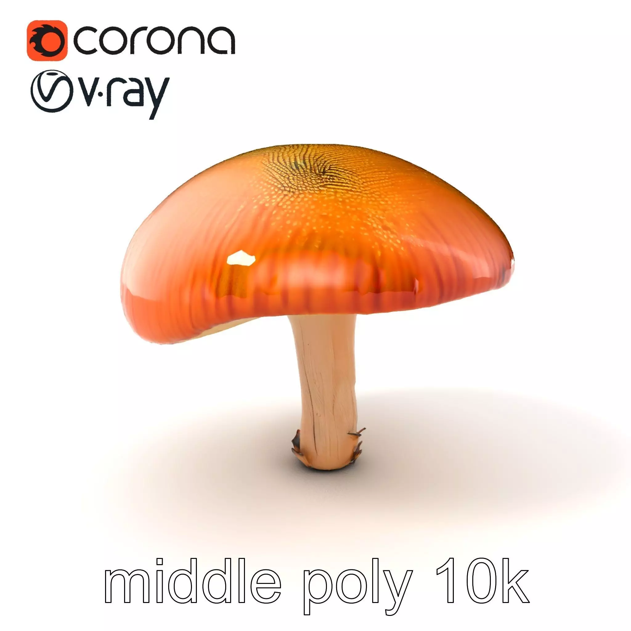Winter Velvet Shank Mushroom model pack Low-poly 3D model_0
