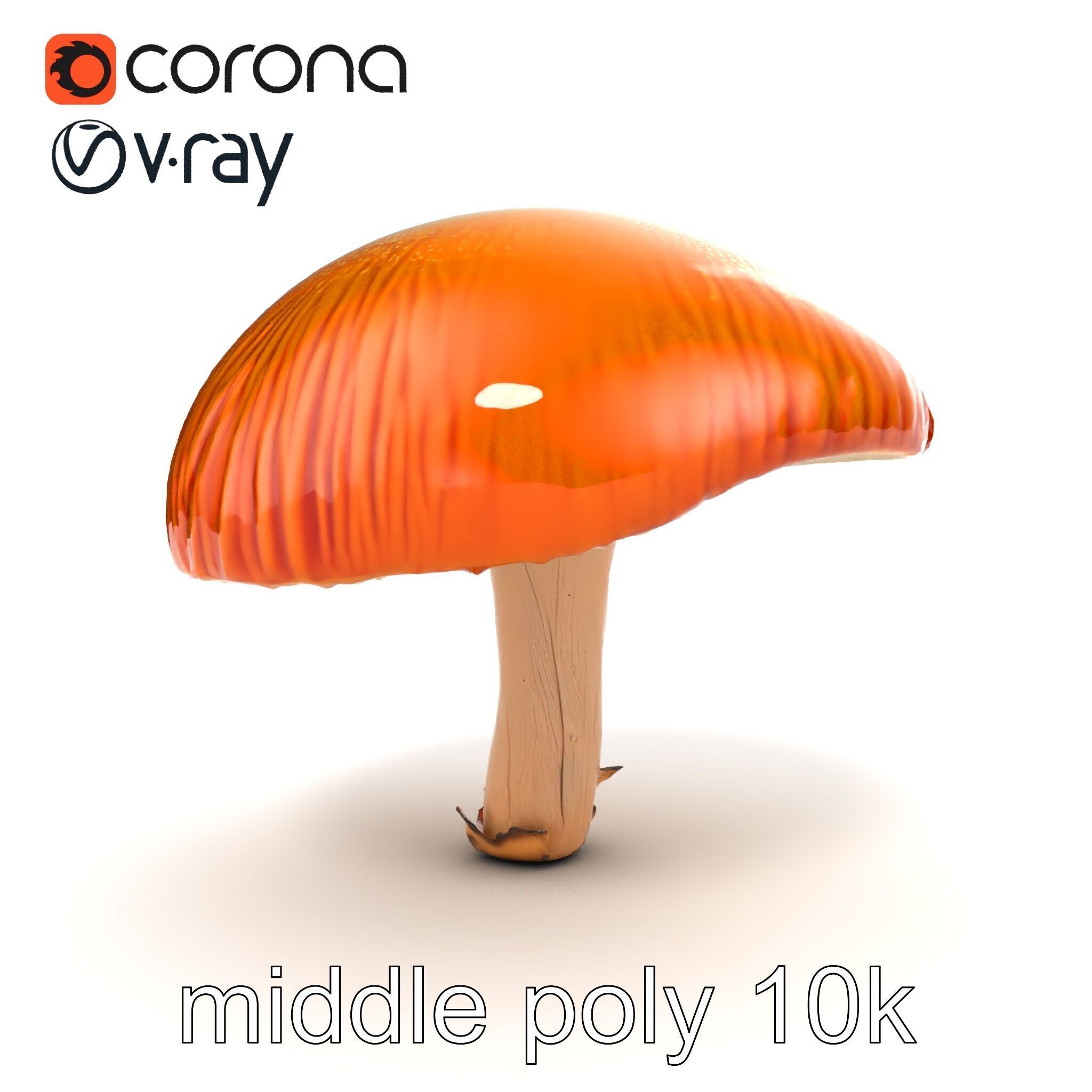 Winter Velvet Shank Mushroom model pack Low-poly 3D model_27