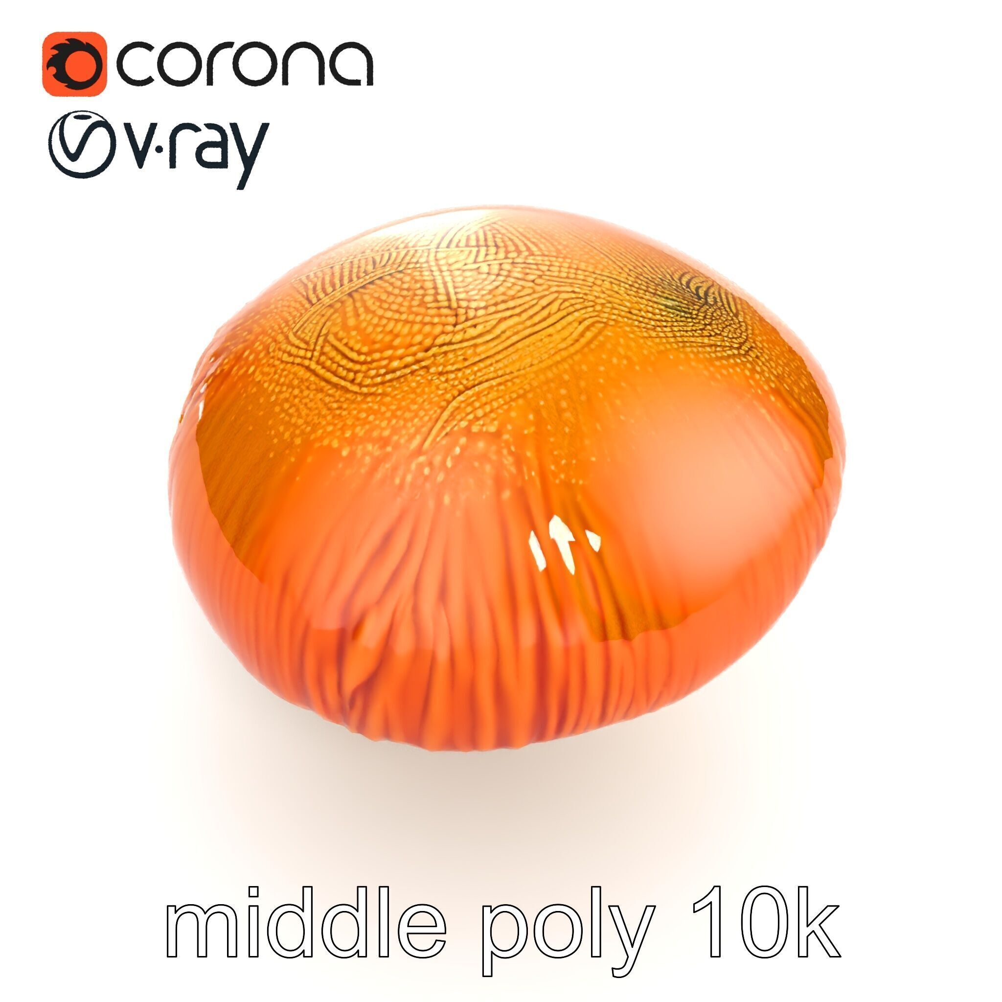 Winter Velvet Shank Mushroom model pack Low-poly 3D model_16