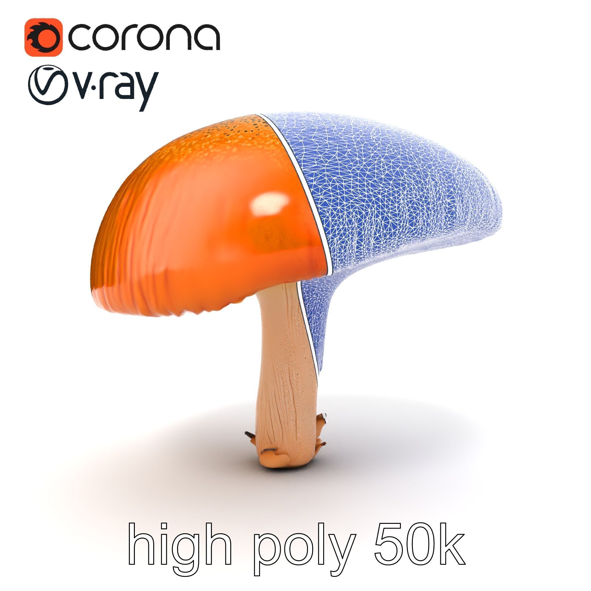 Winter Velvet Shank Mushroom model pack Low-poly 3D model_31