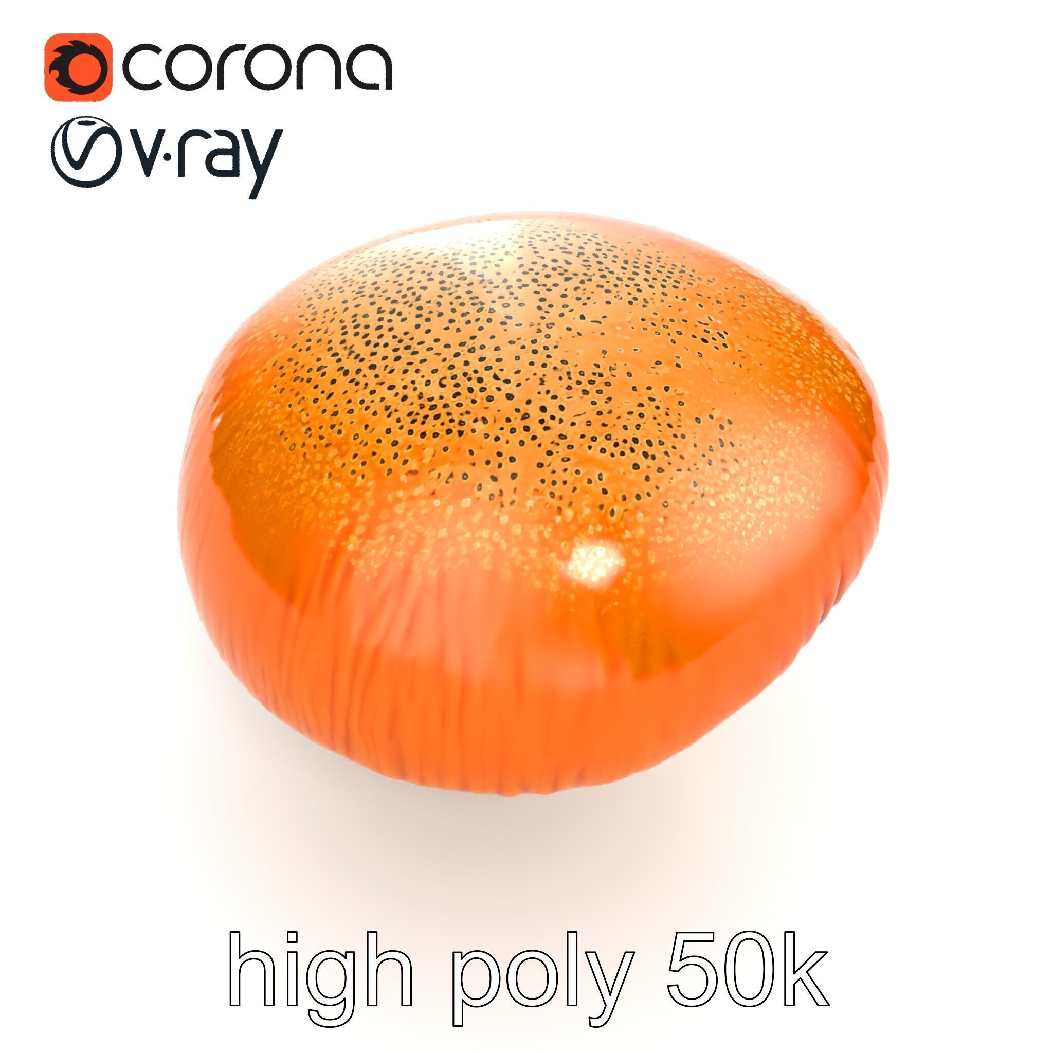 Winter Velvet Shank Mushroom model pack Low-poly 3D model_24