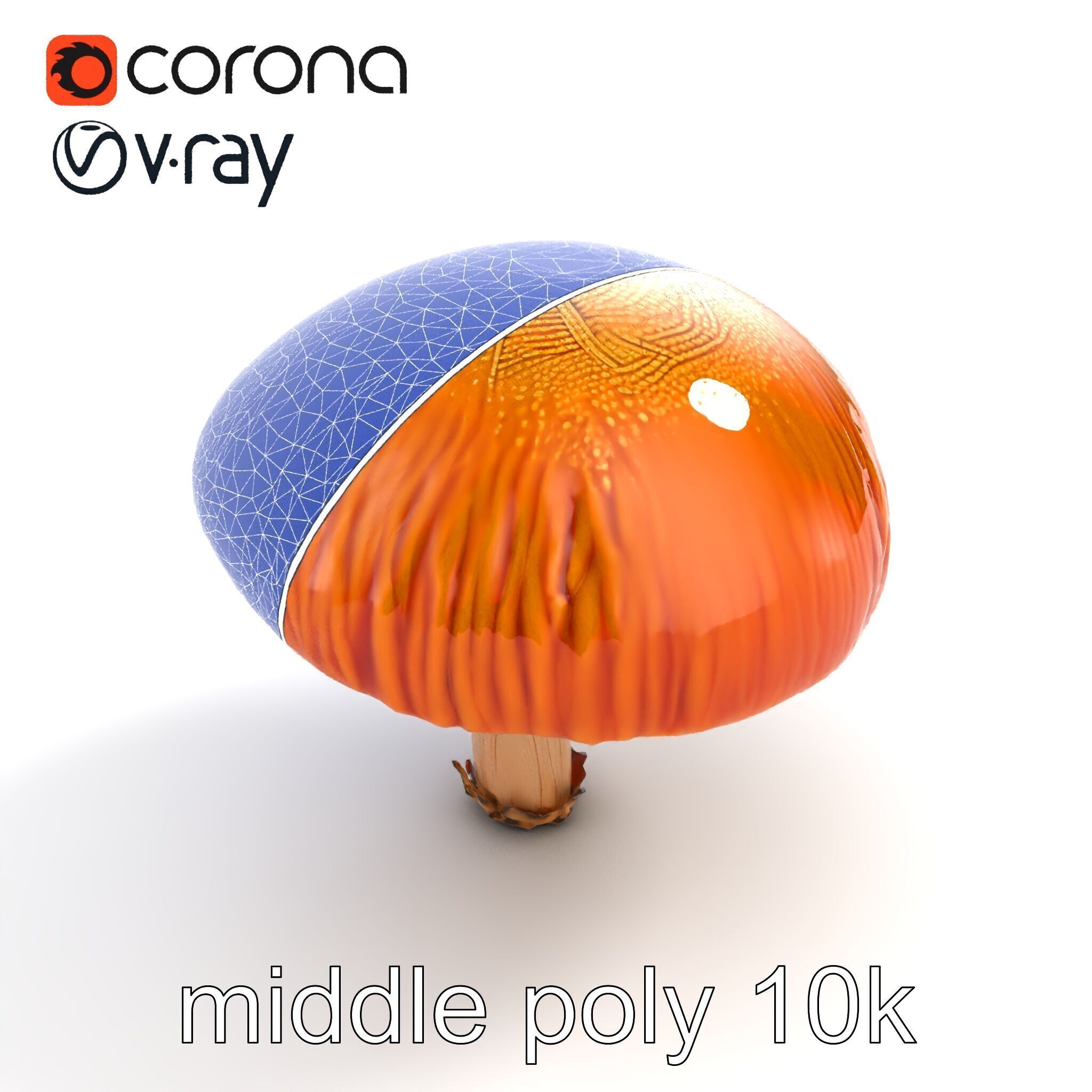 Winter Velvet Shank Mushroom model pack Low-poly 3D model_11