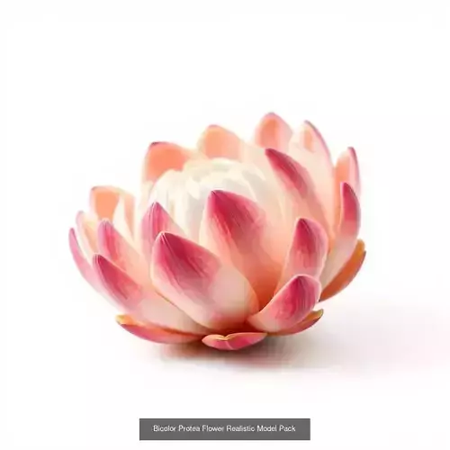 Exquisite Protea Models Pack 3D Model Collection