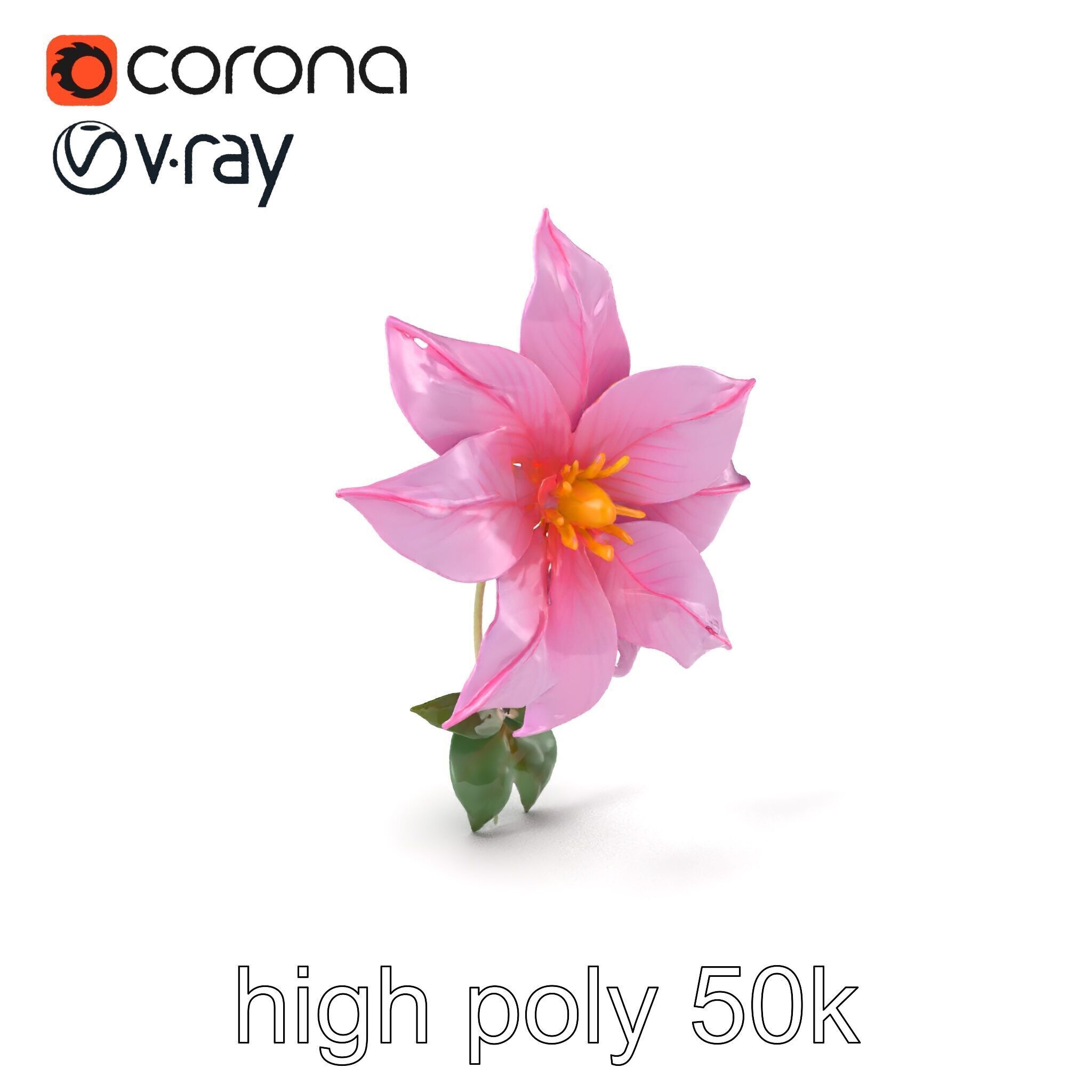 Soft Pink Clematis Flower with Glossy Vines model pack Low-poly 3D model_2