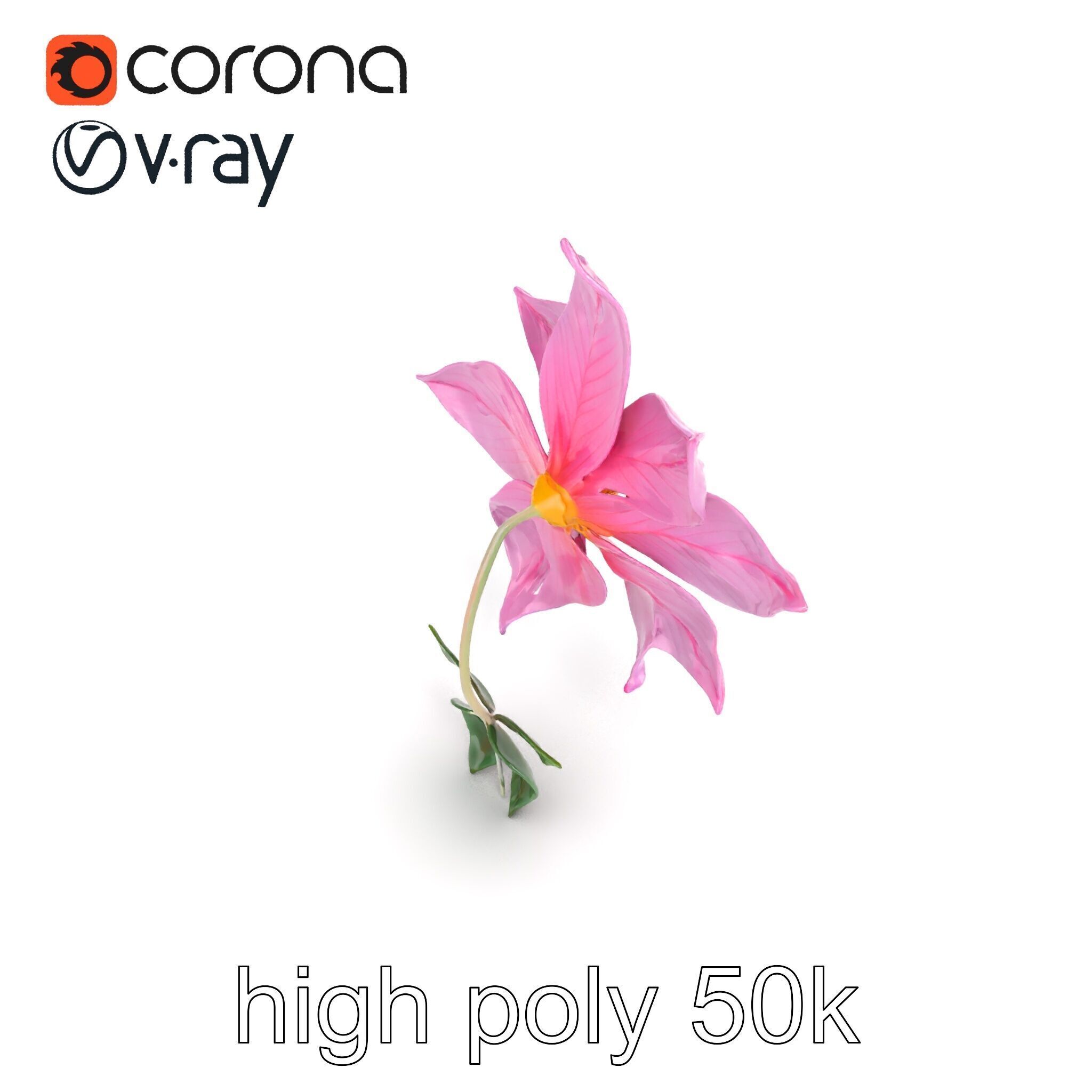 Soft Pink Clematis Flower with Glossy Vines model pack Low-poly 3D model_27