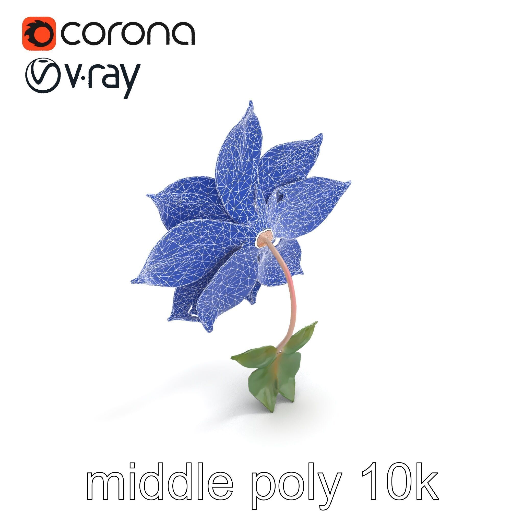 Soft Pink Clematis Flower with Glossy Vines model pack Low-poly 3D model_11