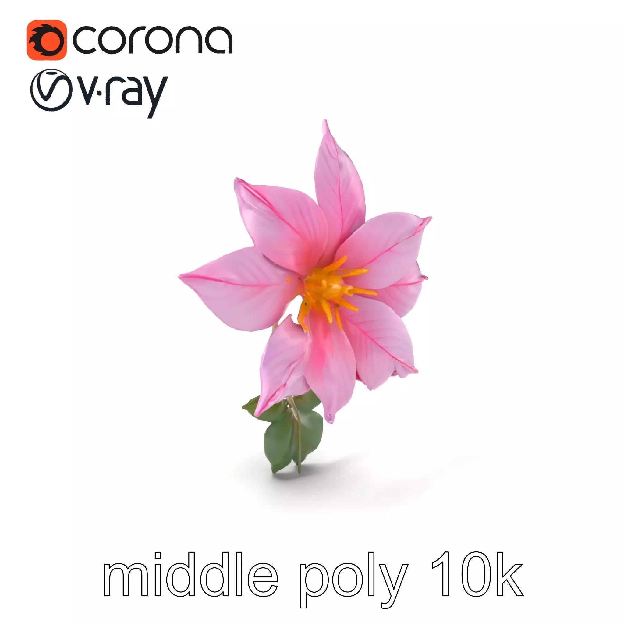 Soft Pink Clematis Flower with Glossy Vines model pack Low-poly 3D model_0