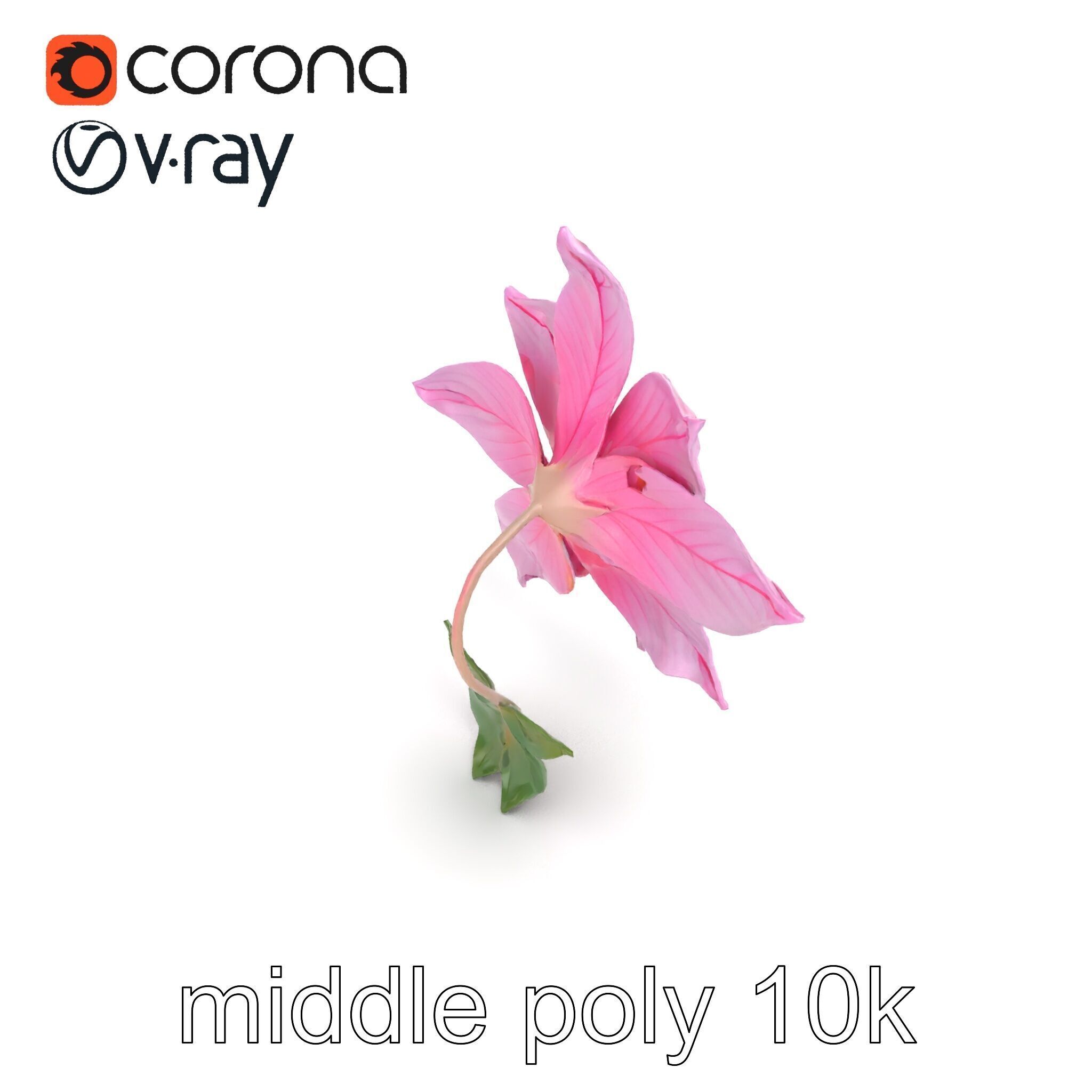 Soft Pink Clematis Flower with Glossy Vines model pack Low-poly 3D model_26