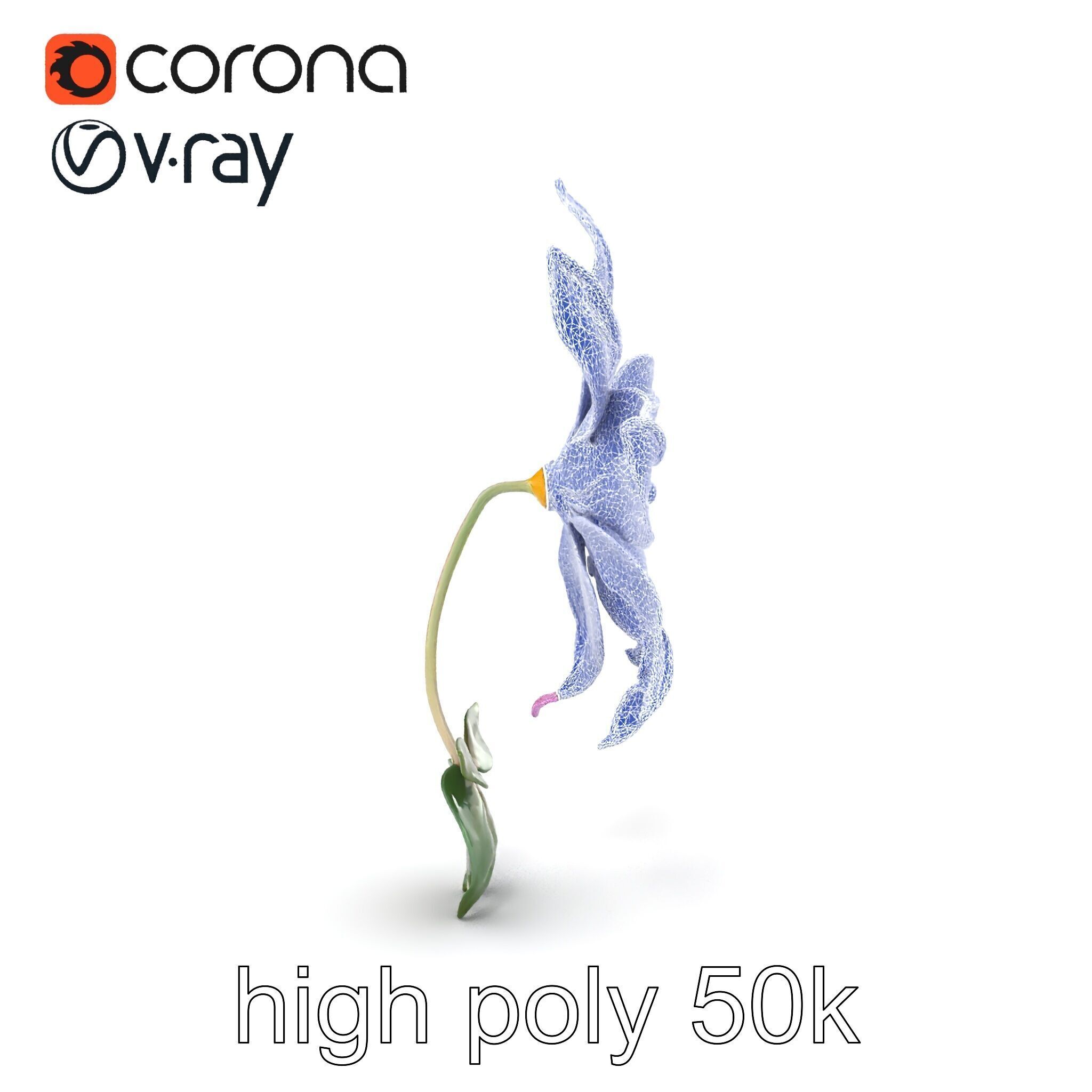 Soft Pink Clematis Flower with Glossy Vines model pack Low-poly 3D model_17